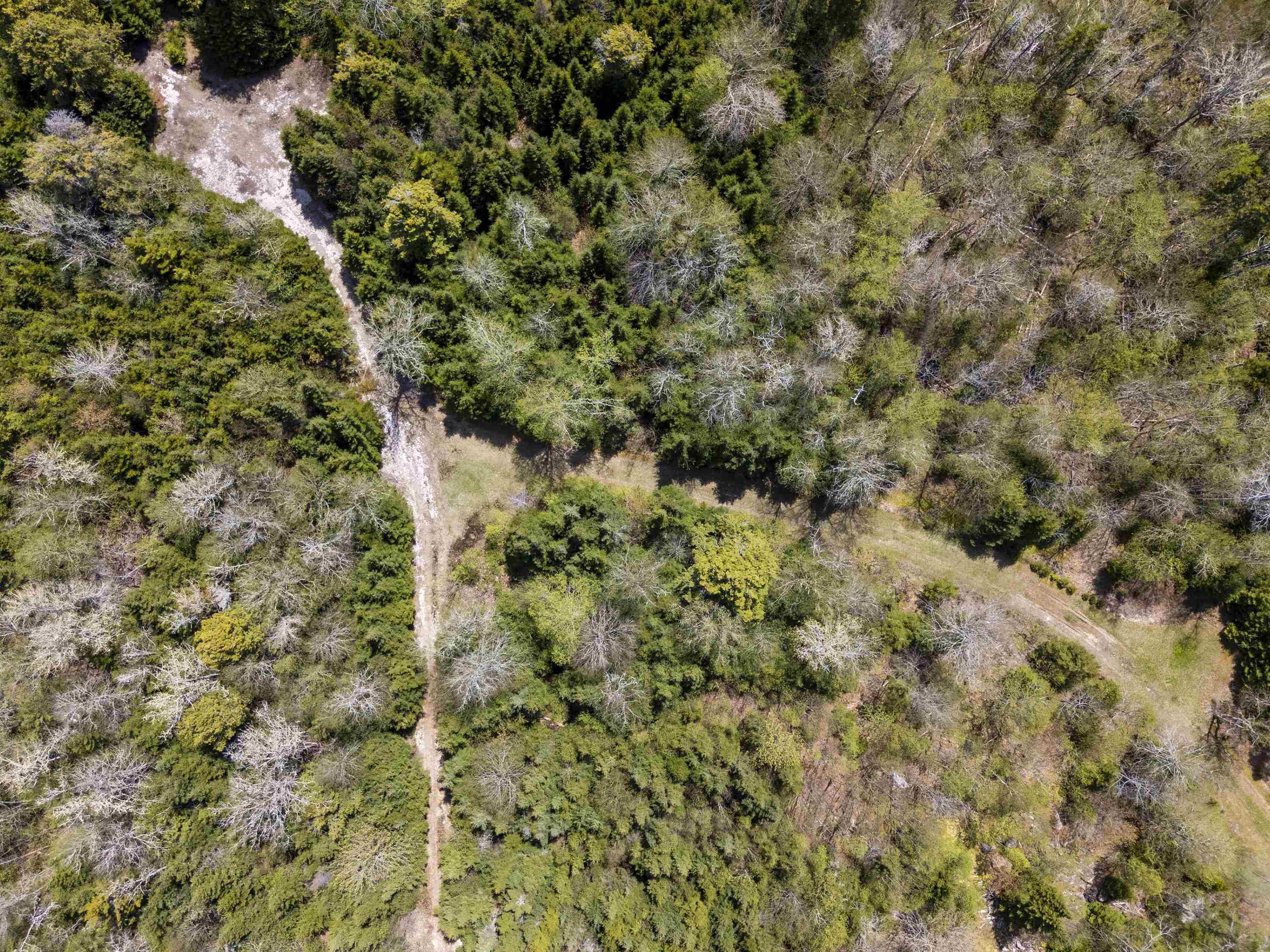 $950,000.00: 2-B 91 Old Halifax Road, Glen Haven