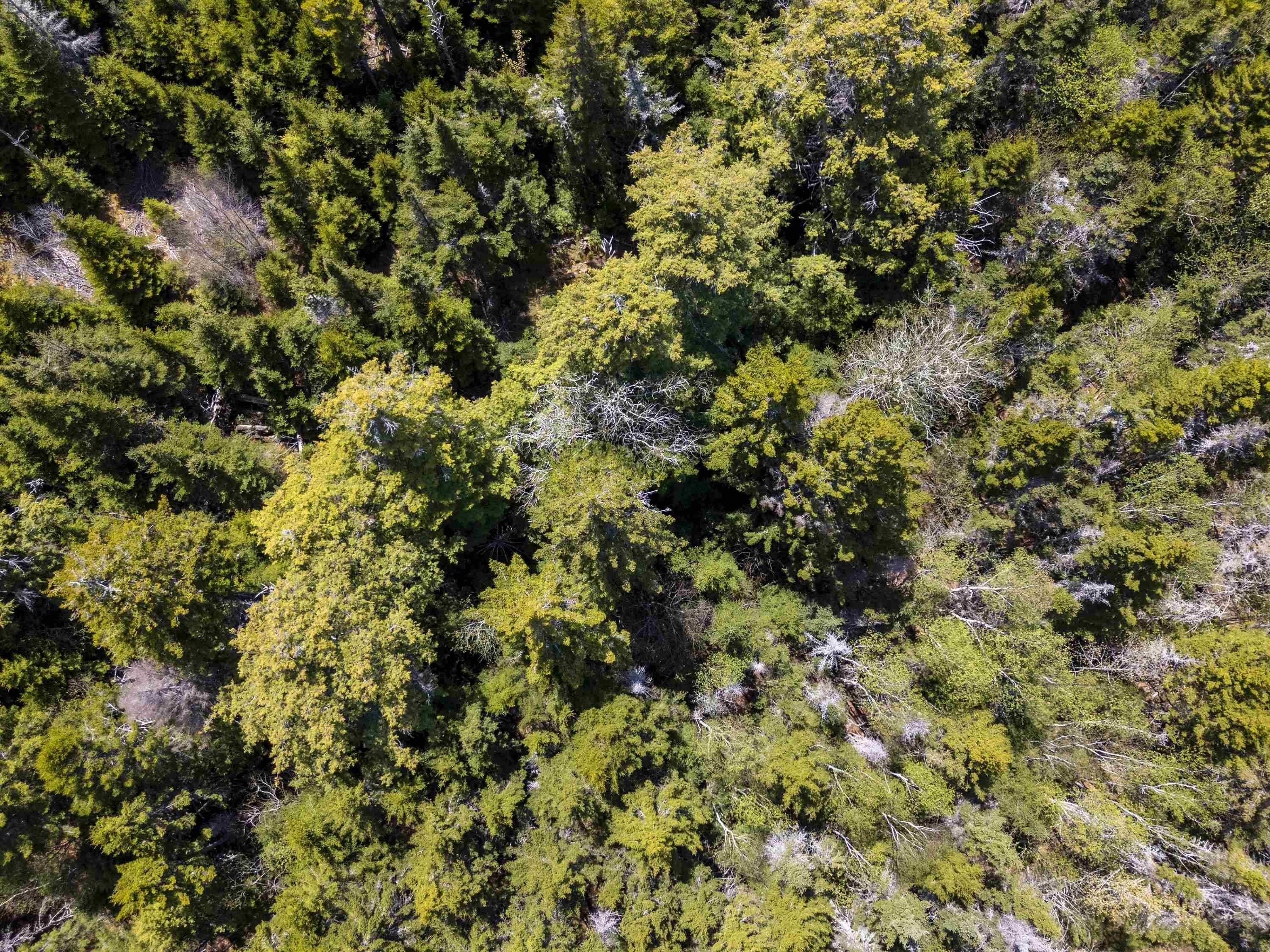 $950,000.00: 2-B 91 Old Halifax Road, Glen Haven