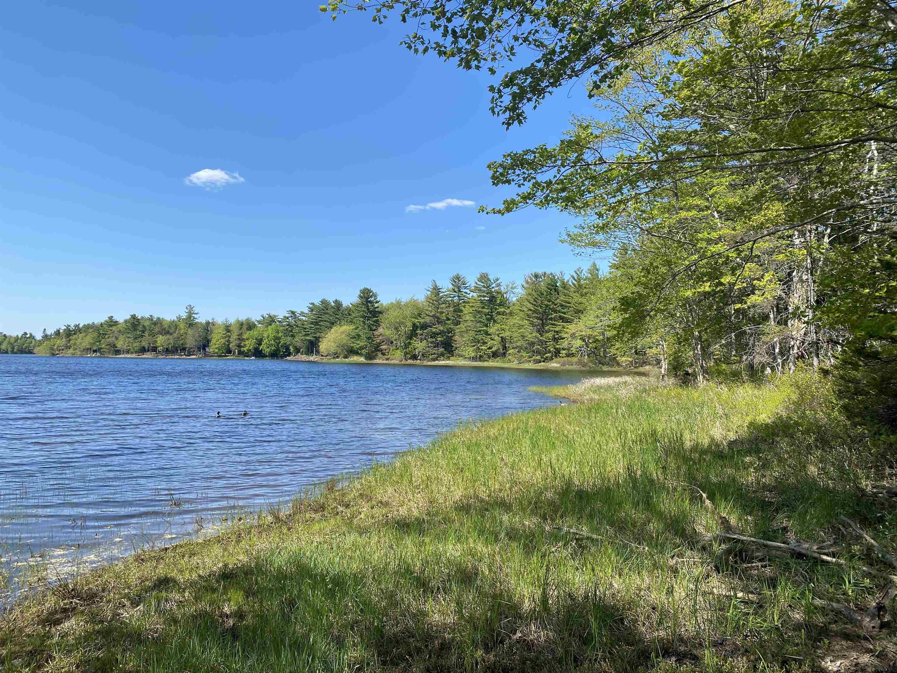 77 Laurie Wamboldt Road, Greenfield, NS (MLS 202512909)