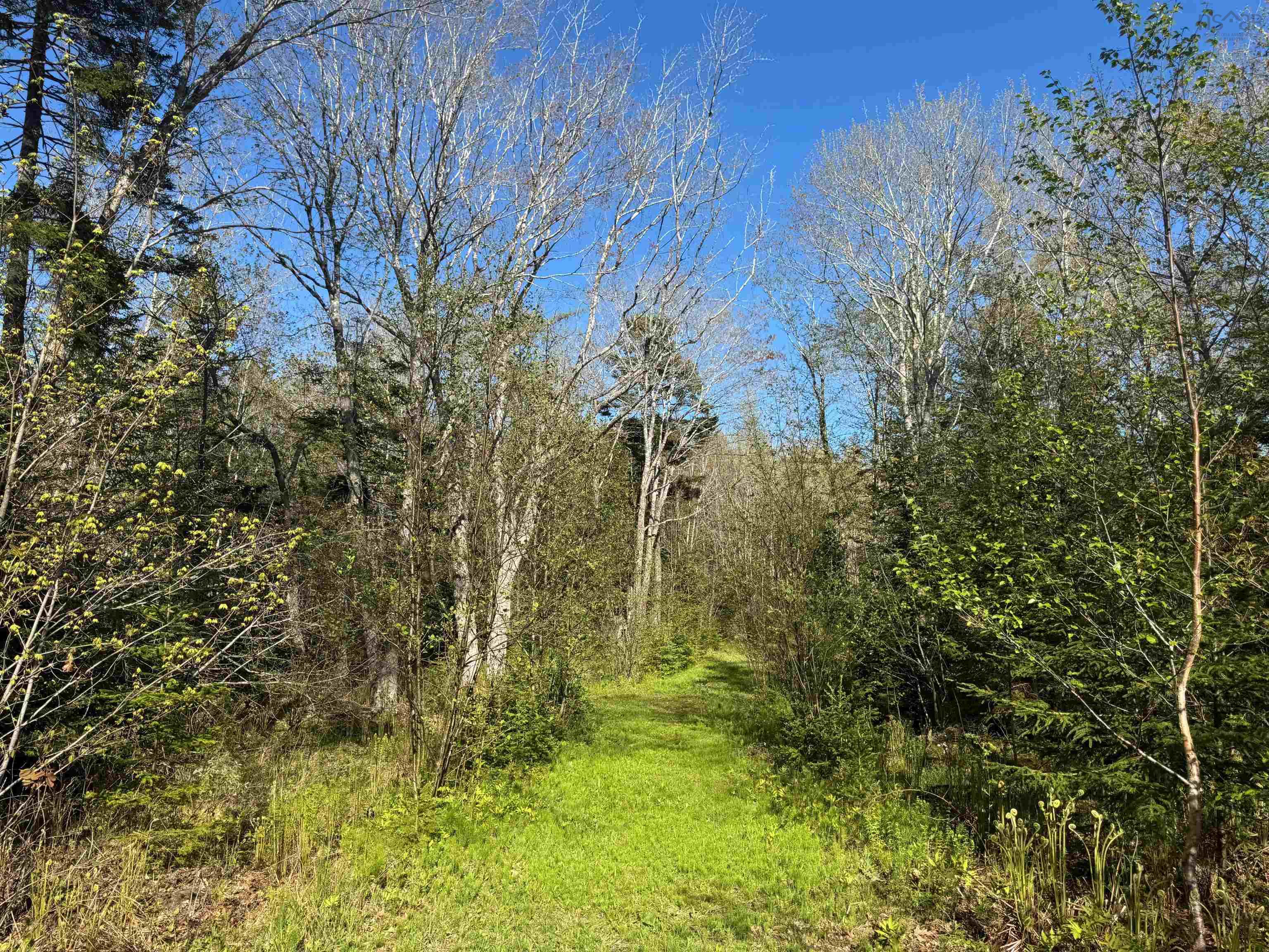 $150,000.00: 680 Mood Road, Summerville