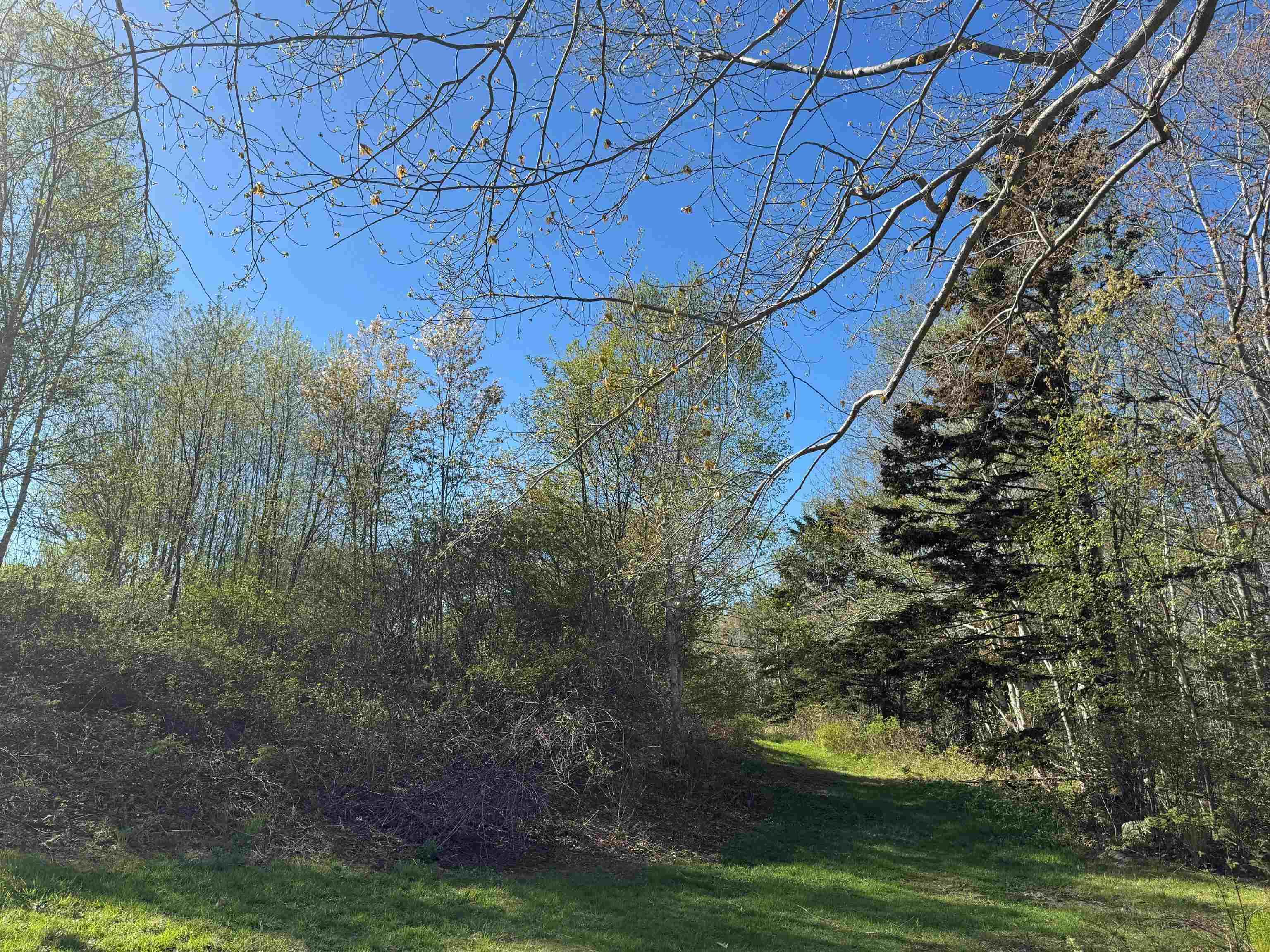 $150,000.00: 680 Mood Road, Summerville
