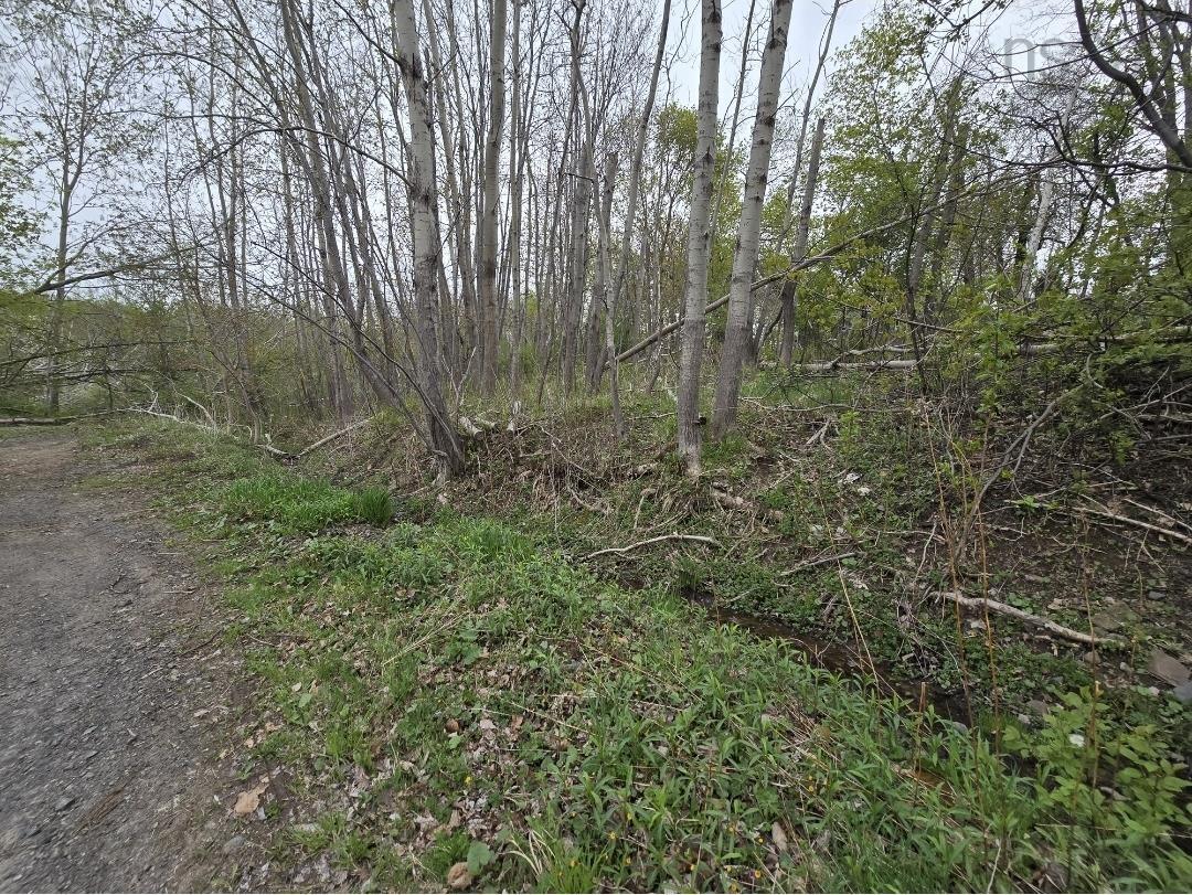 $40,000.00: Lot 2 Brook Street, Trenton