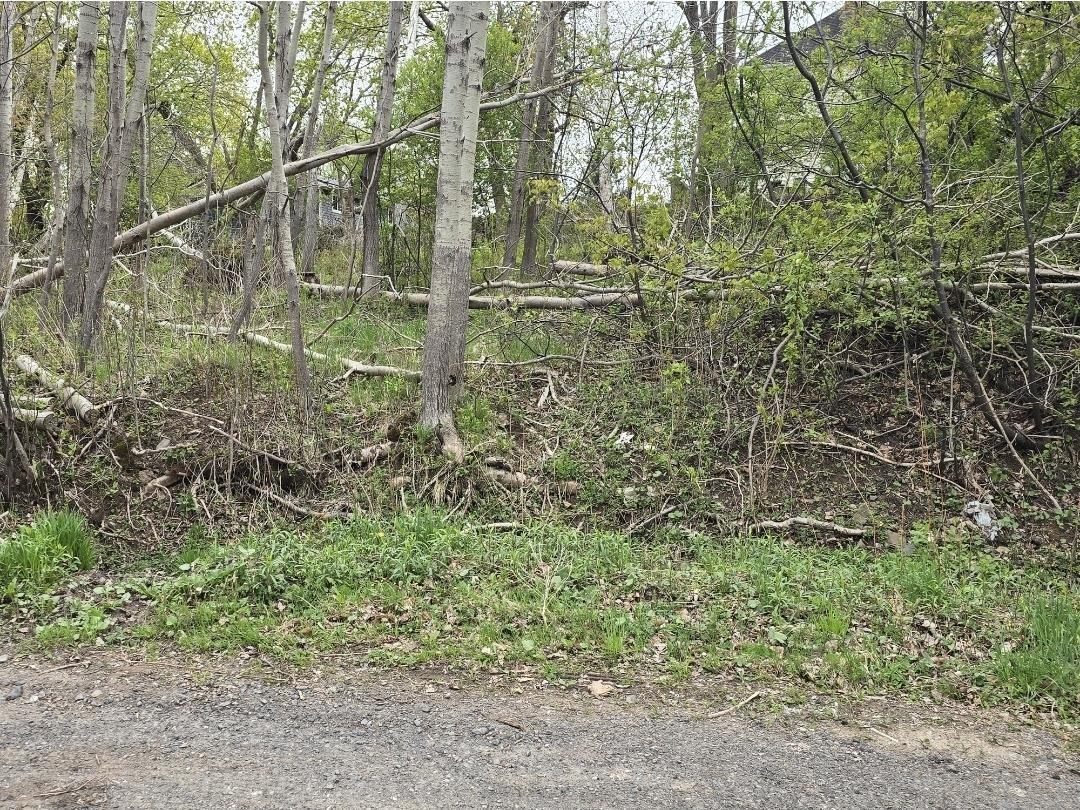 $40,000.00: Lot 2 Brook Street, Trenton