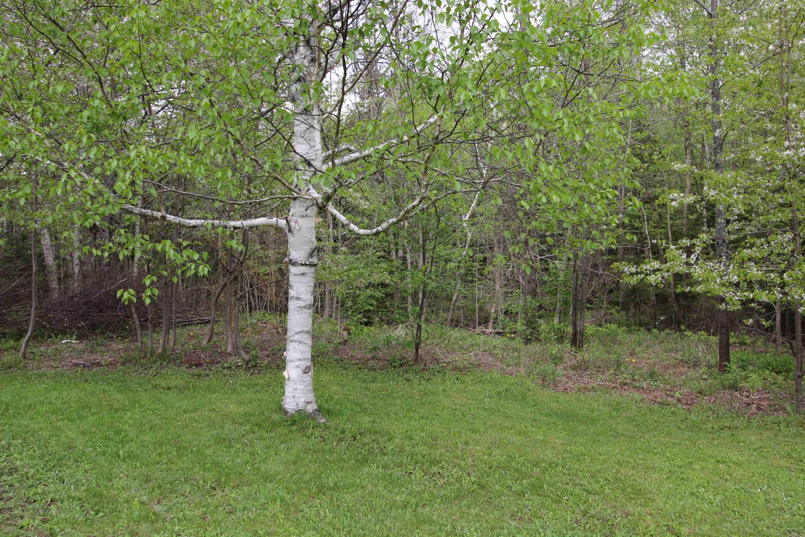 $139,500.00: 1291 McNally Road, Morden