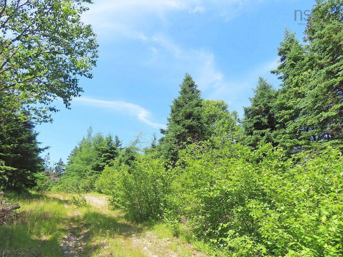 $59,000.00: 20 Acres Upper Grand Mira Road, Upper Grand Mira