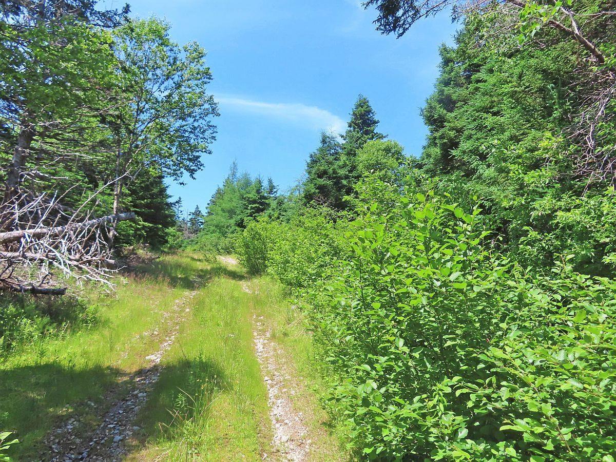 $59,000.00: 20 Acres Upper Grand Mira Road, Upper Grand Mira