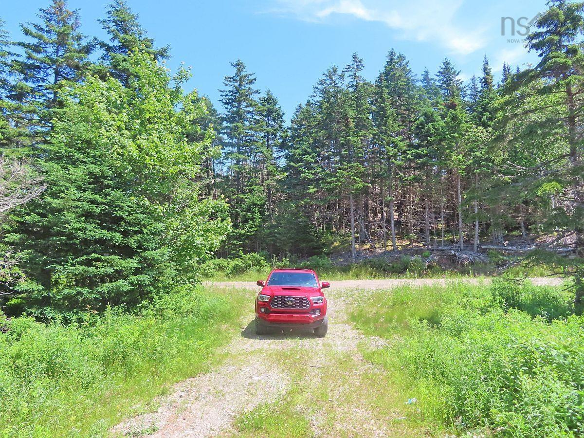 $59,000.00: 20 Acres Upper Grand Mira Road, Upper Grand Mira