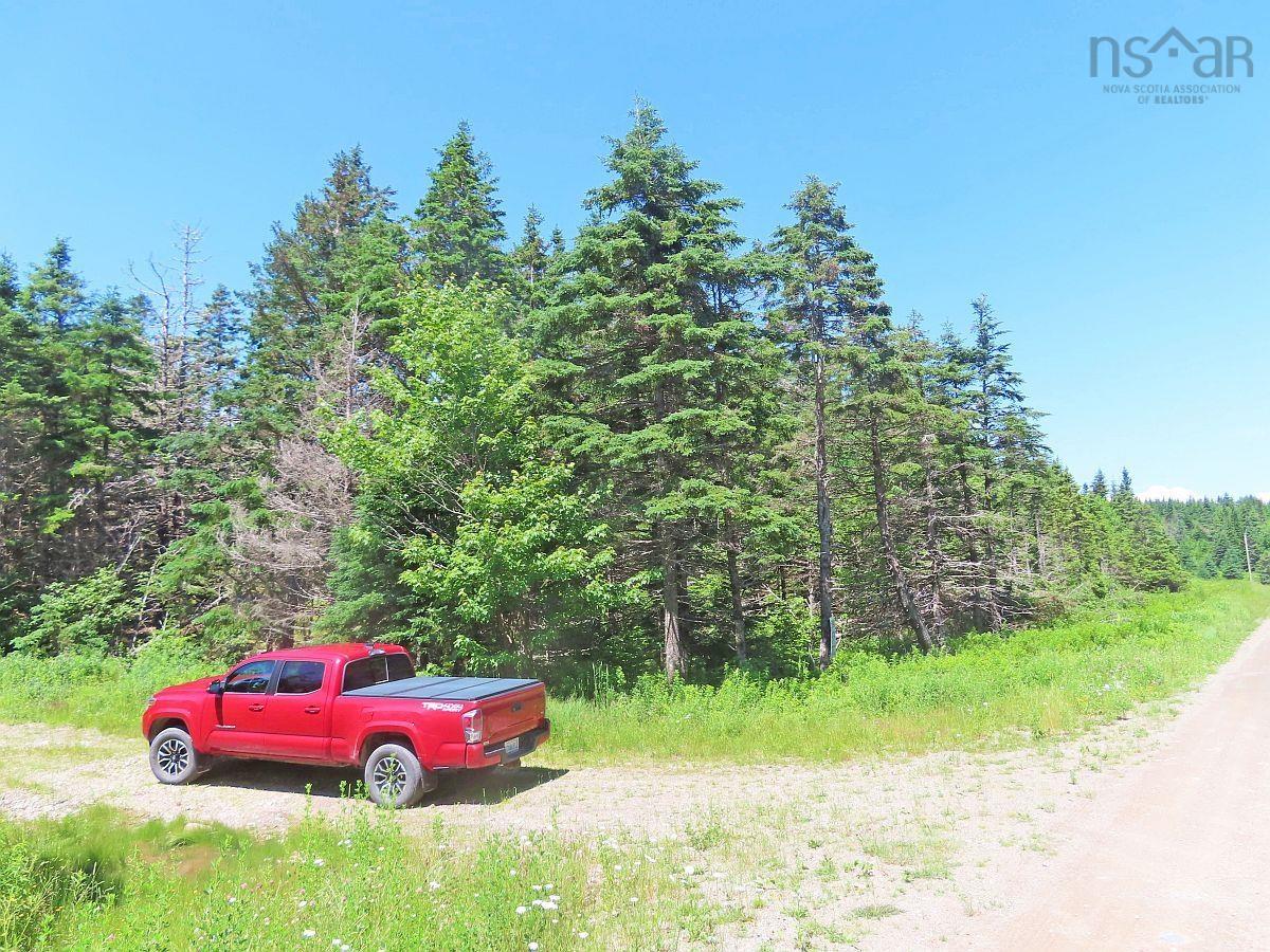 $59,000.00: 20 Acres Upper Grand Mira Road, Upper Grand Mira