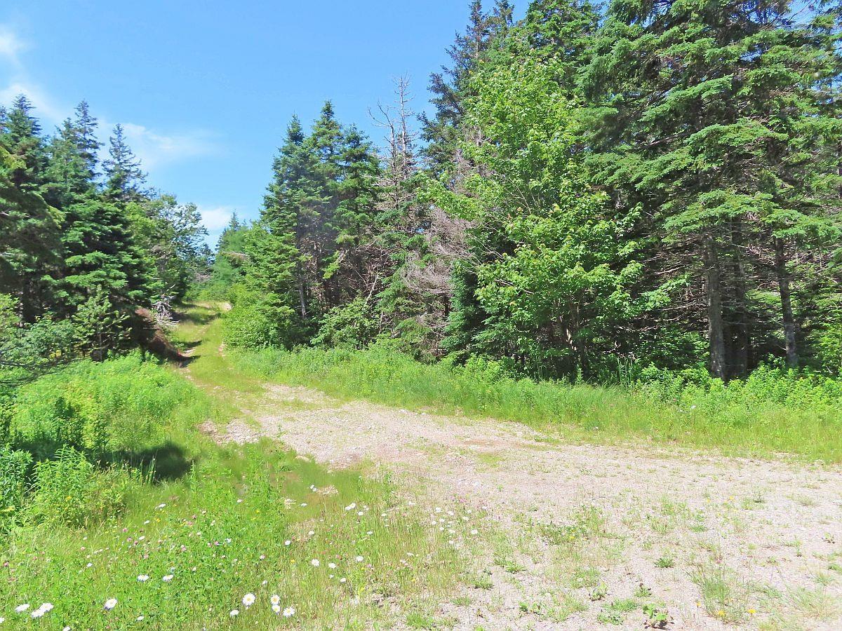 $59,000.00: 20 Acres Upper Grand Mira Road, Upper Grand Mira