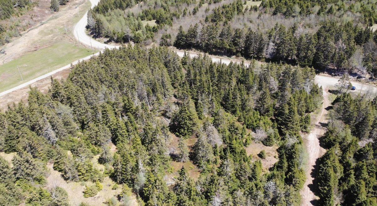 $69,000.00: 28 Acres Upper Grand Mira Road, Upper Grand Mira