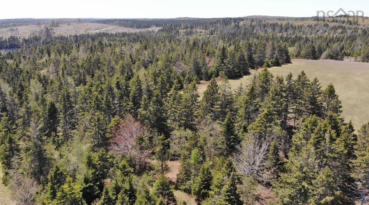 $69,000.00: 28 Acres Upper Grand Mira Road, Upper Grand Mira