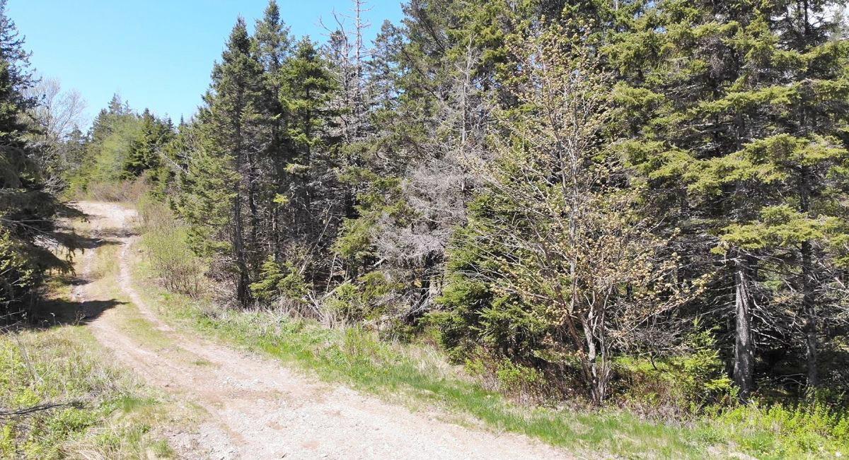 $69,000.00: 28 Acres Upper Grand Mira Road, Upper Grand Mira