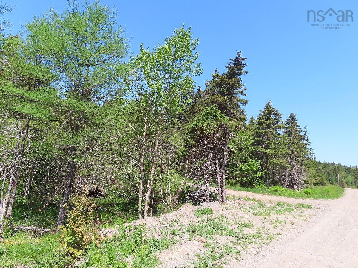 $69,000.00: 28 Acres Upper Grand Mira Road, Upper Grand Mira
