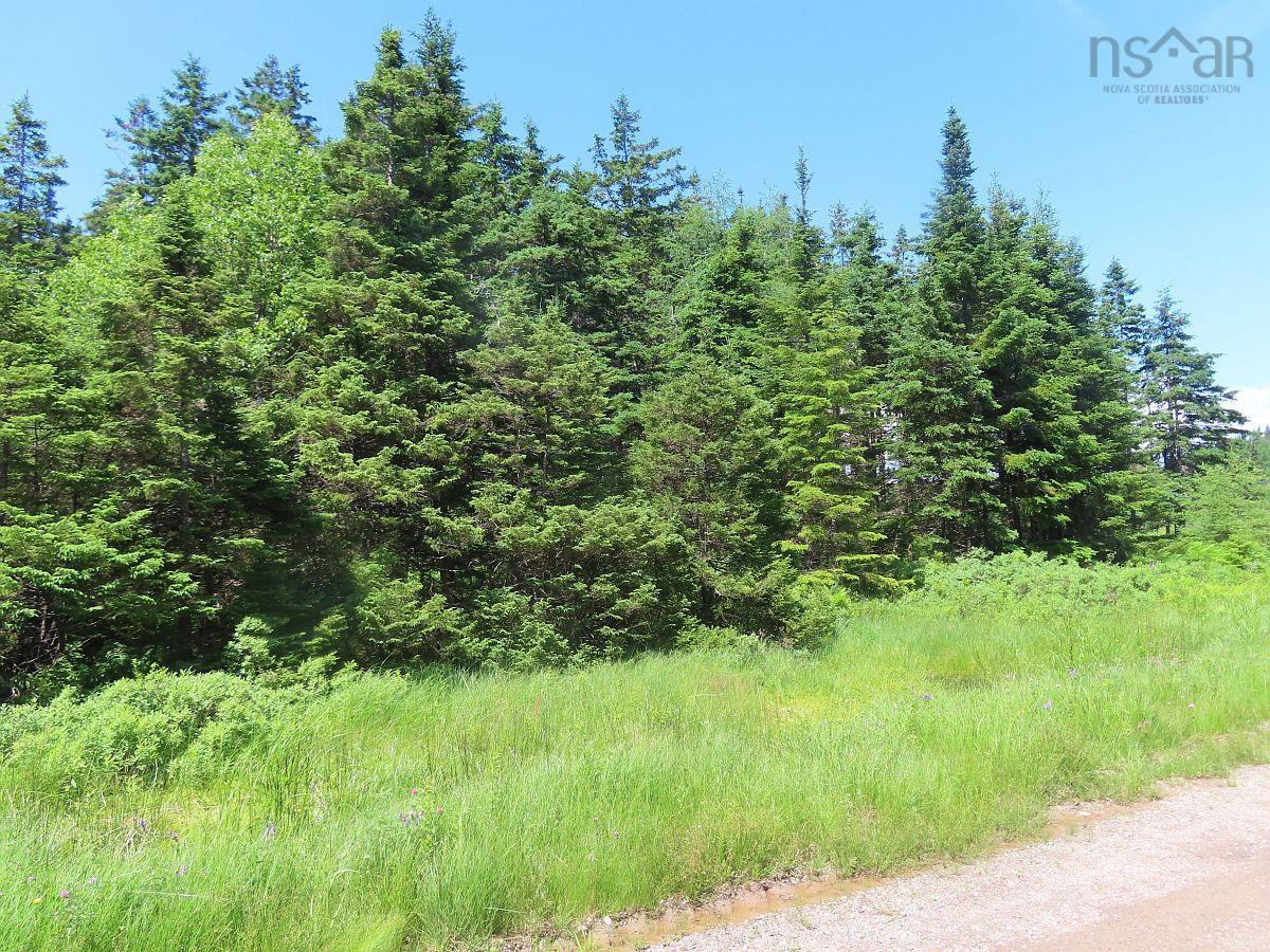 $59,000.00: 20 Acres Upper Grand Mira Road, Upper Grand Mira