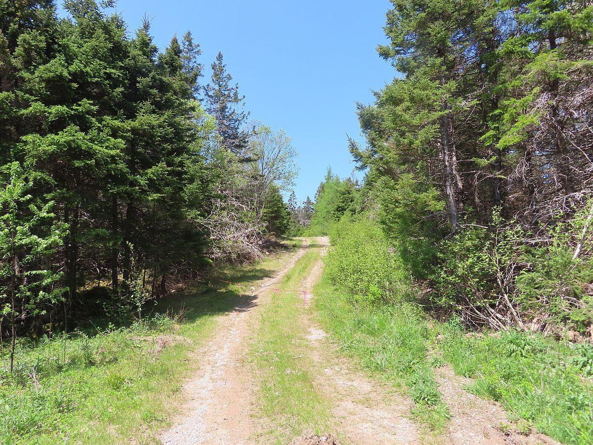 $69,000.00: 28 Acres Upper Grand Mira Road, Upper Grand Mira