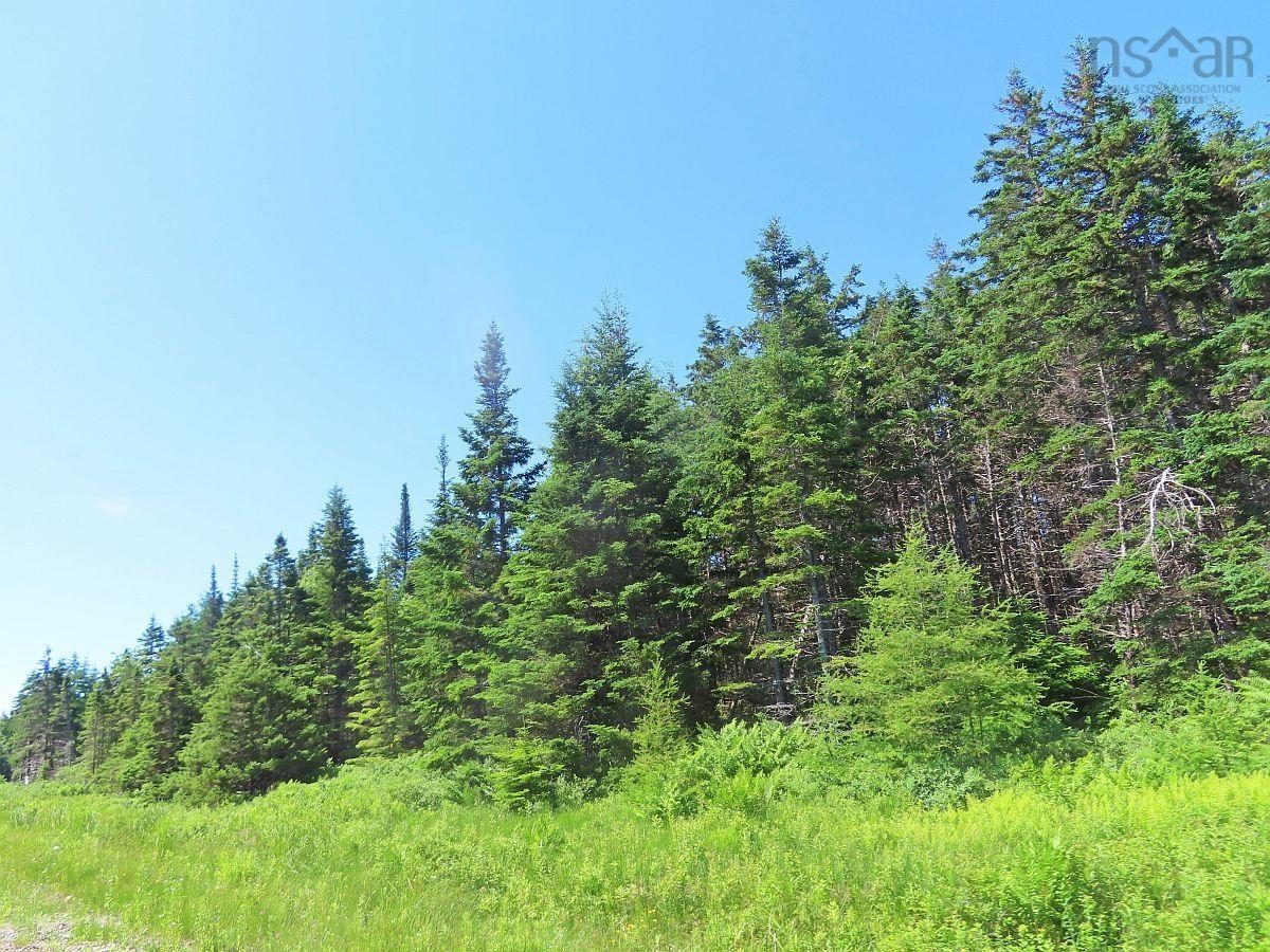 $59,000.00: 20 Acres Upper Grand Mira Road, Upper Grand Mira