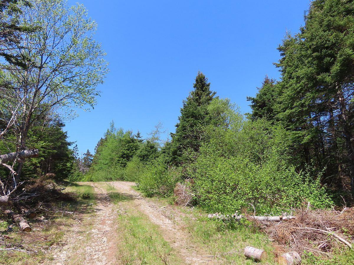 $69,000.00: 28 Acres Upper Grand Mira Road, Upper Grand Mira