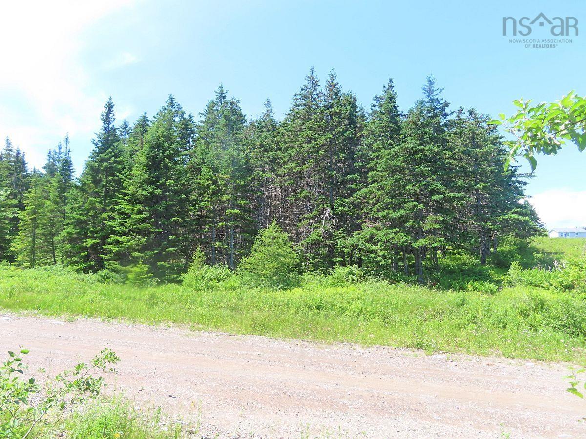$59,000.00: 20 Acres Upper Grand Mira Road, Upper Grand Mira