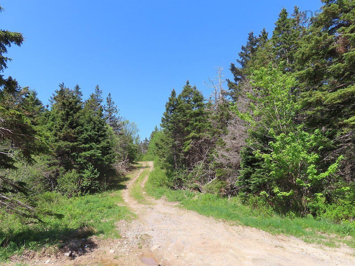$69,000.00: 28 Acres Upper Grand Mira Road, Upper Grand Mira