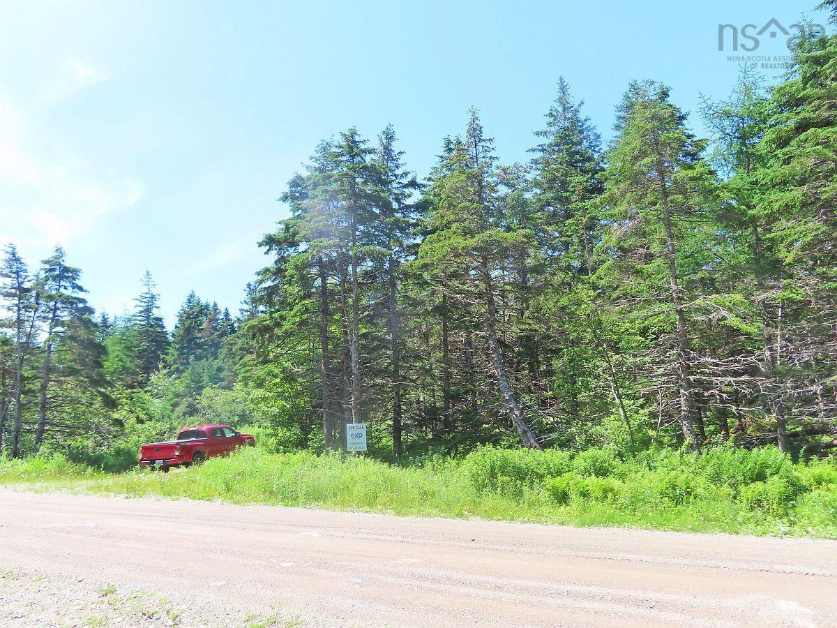 $59,000.00: 20 Acres Upper Grand Mira Road, Upper Grand Mira