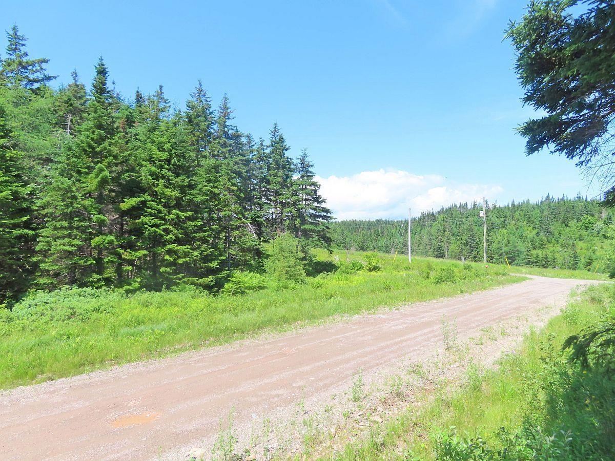 $59,000.00: 20 Acres Upper Grand Mira Road, Upper Grand Mira