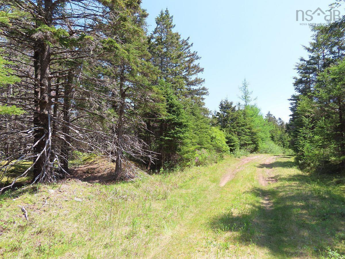 $69,000.00: 28 Acres Upper Grand Mira Road, Upper Grand Mira