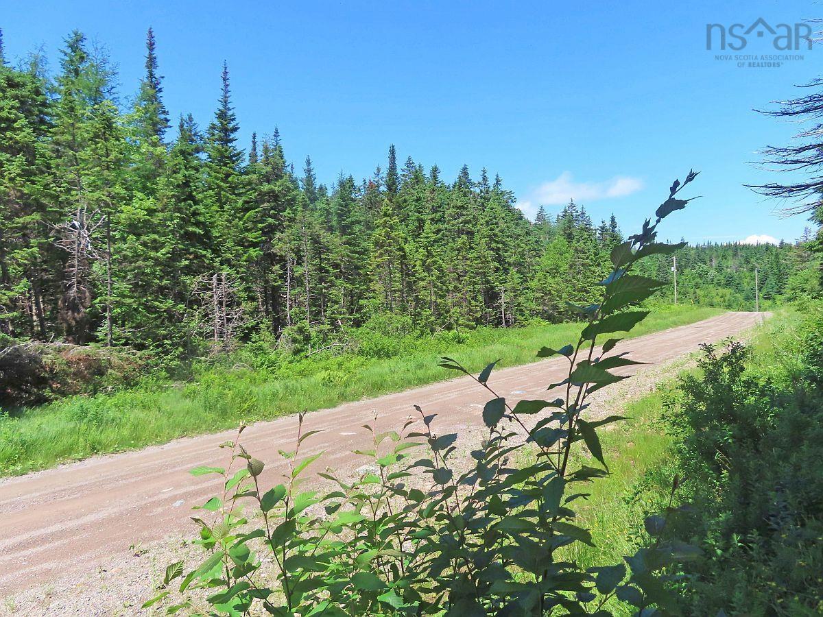 $59,000.00: 20 Acres Upper Grand Mira Road, Upper Grand Mira