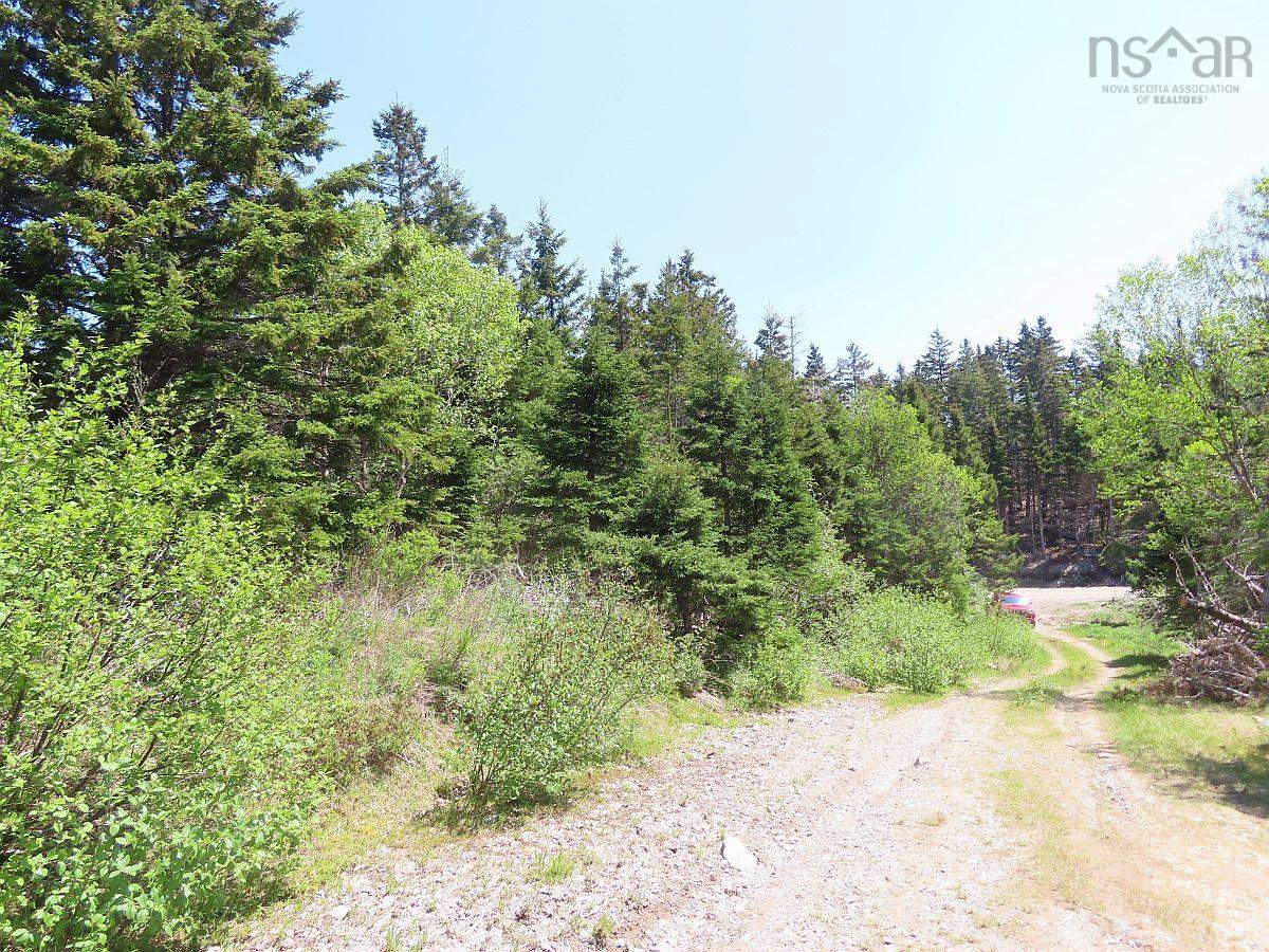 $69,000.00: 28 Acres Upper Grand Mira Road, Upper Grand Mira