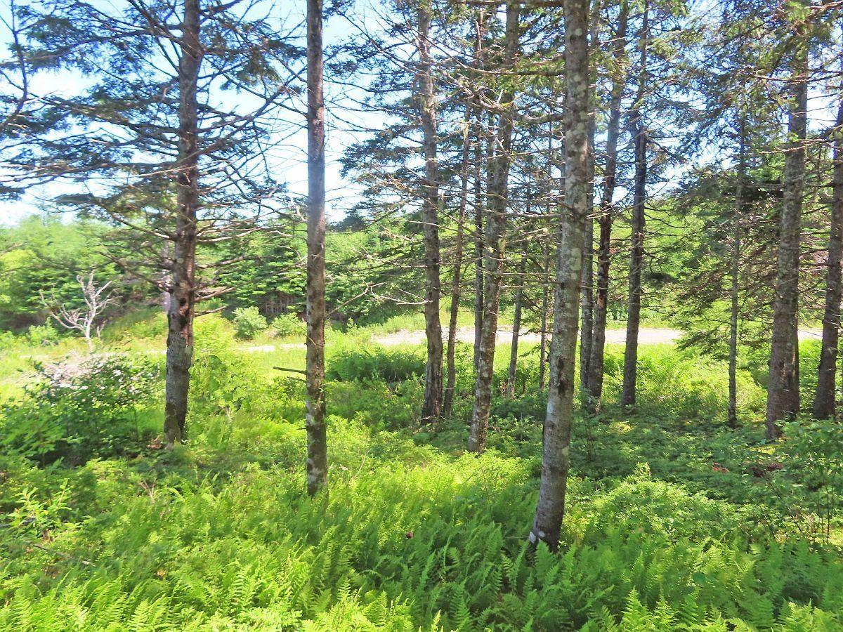 $59,000.00: 20 Acres Upper Grand Mira Road, Upper Grand Mira