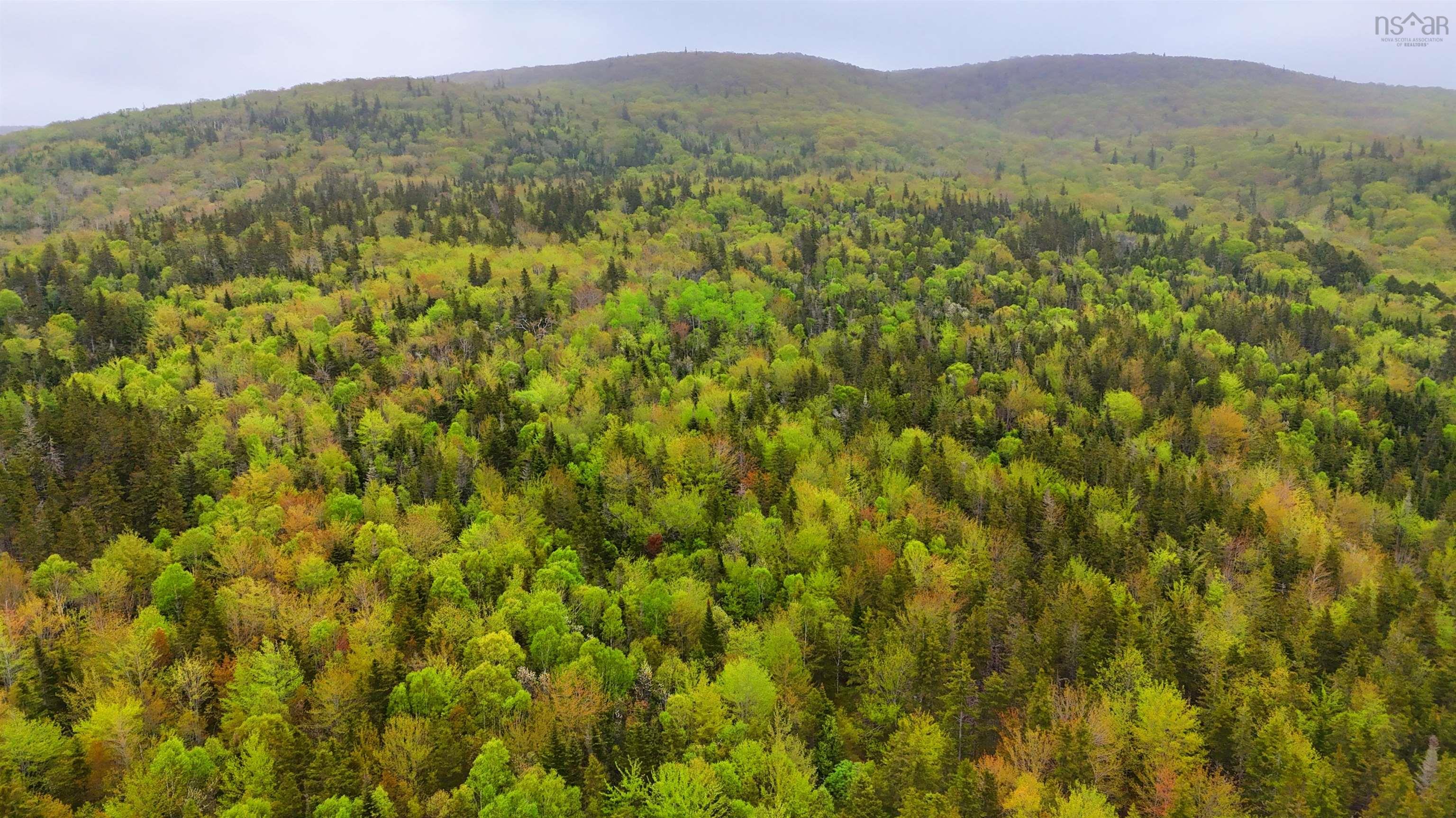 $379,000.00: 103 Acres on East Lake Ainslie Rd, East Lake Ainslie