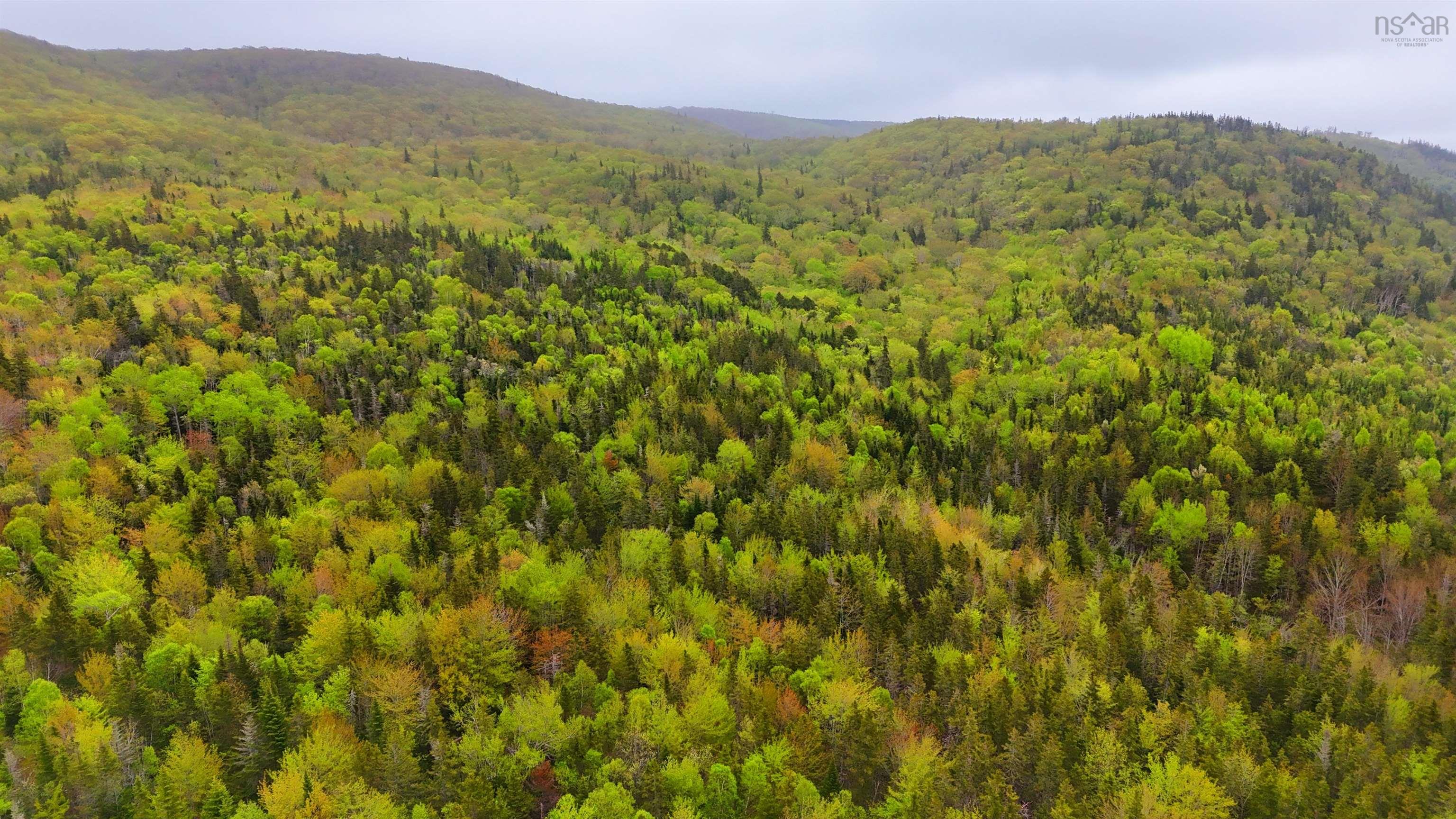 $379,000.00: 103 Acres on East Lake Ainslie Rd, East Lake Ainslie
