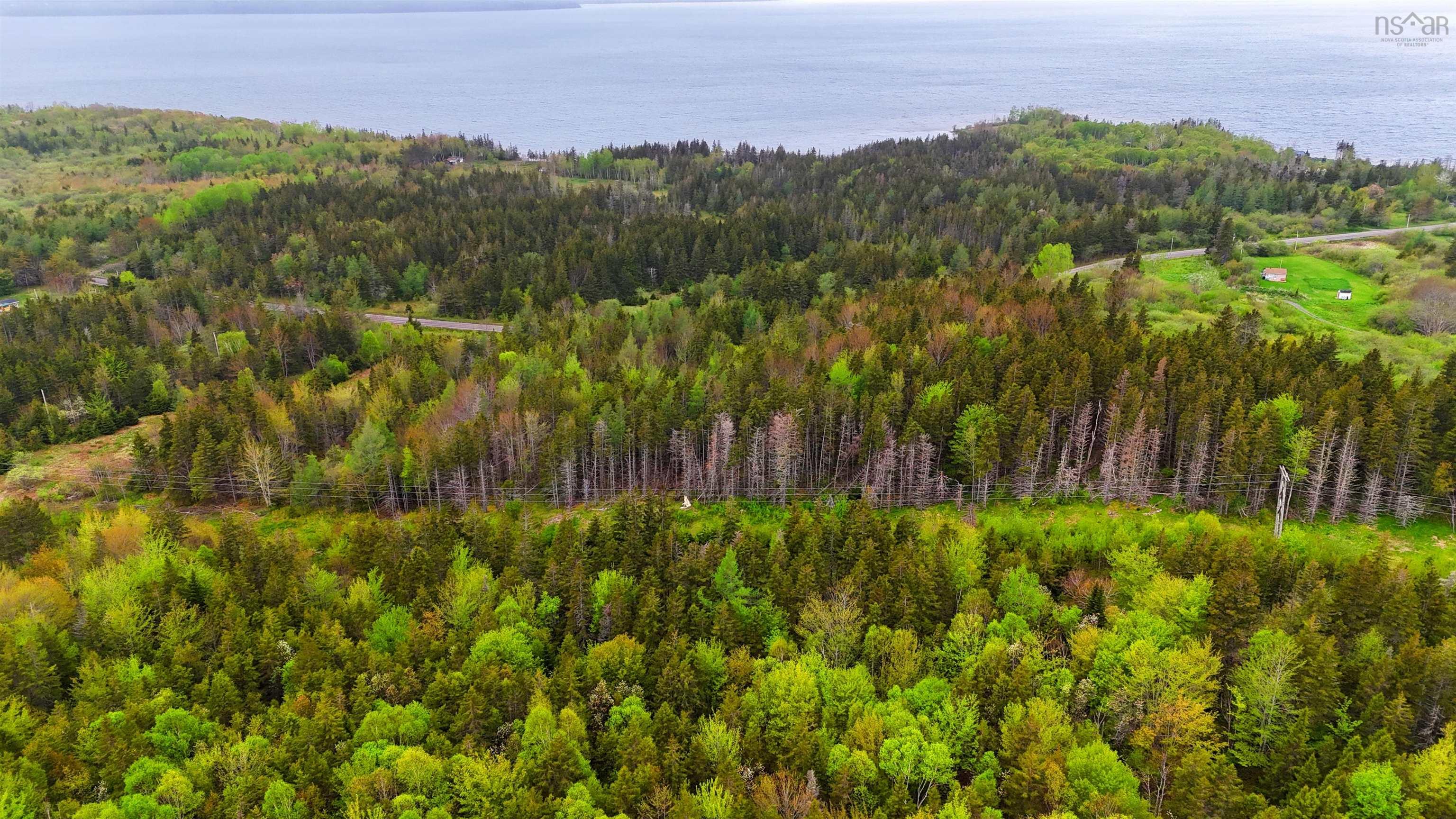 $379,000.00: 103 Acres on East Lake Ainslie Rd, East Lake Ainslie