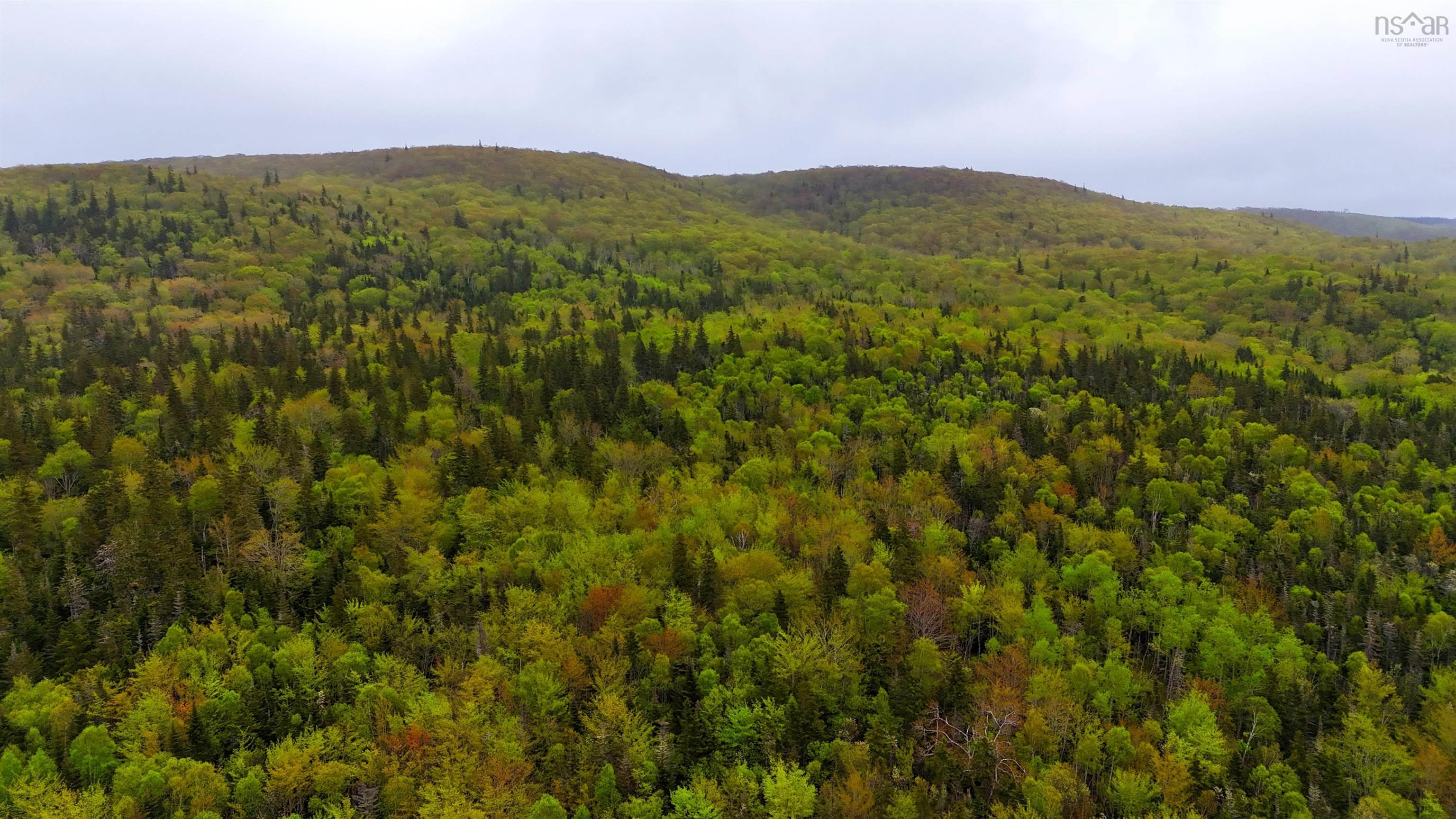 $379,000.00: 103 Acres on East Lake Ainslie Rd, East Lake Ainslie