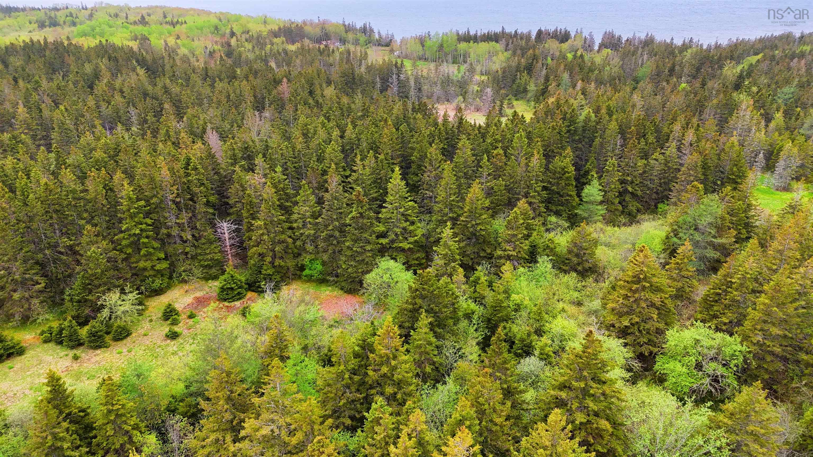 $379,000.00: 103 Acres on East Lake Ainslie Rd, East Lake Ainslie