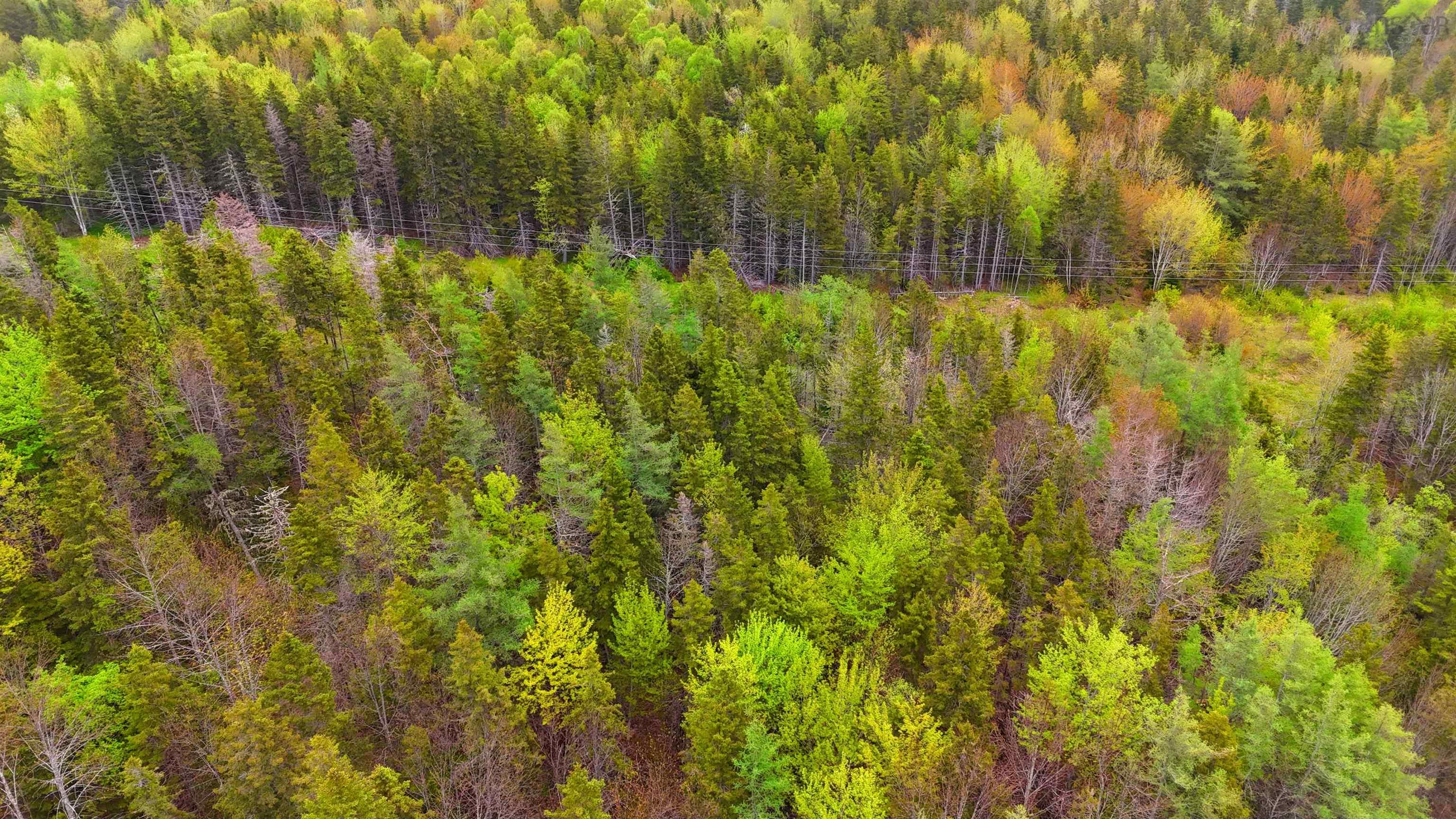 $379,000.00: 103 Acres on East Lake Ainslie Rd, East Lake Ainslie