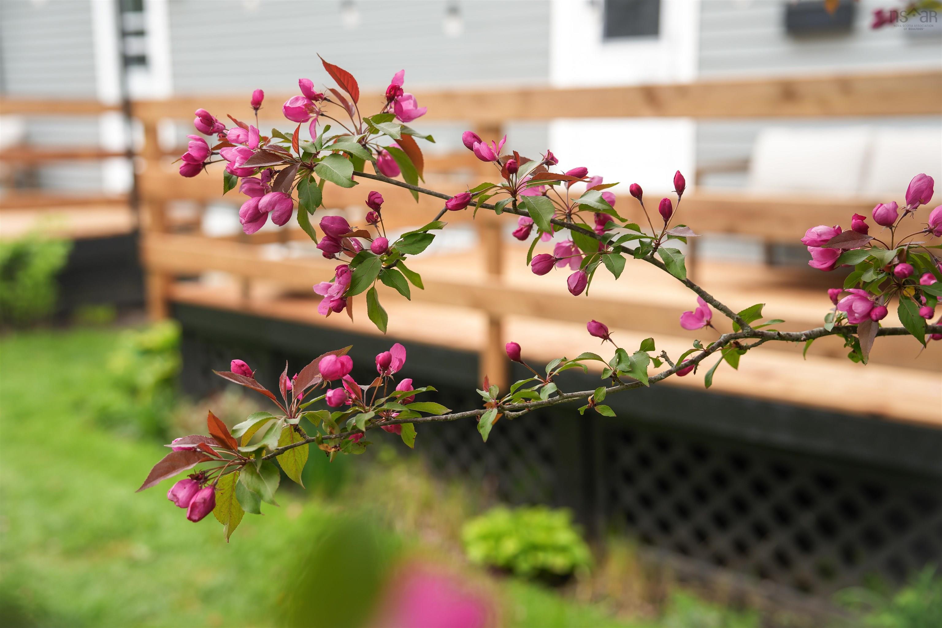 $274,900.00: 3 Imlah Drive, Middle Sackville