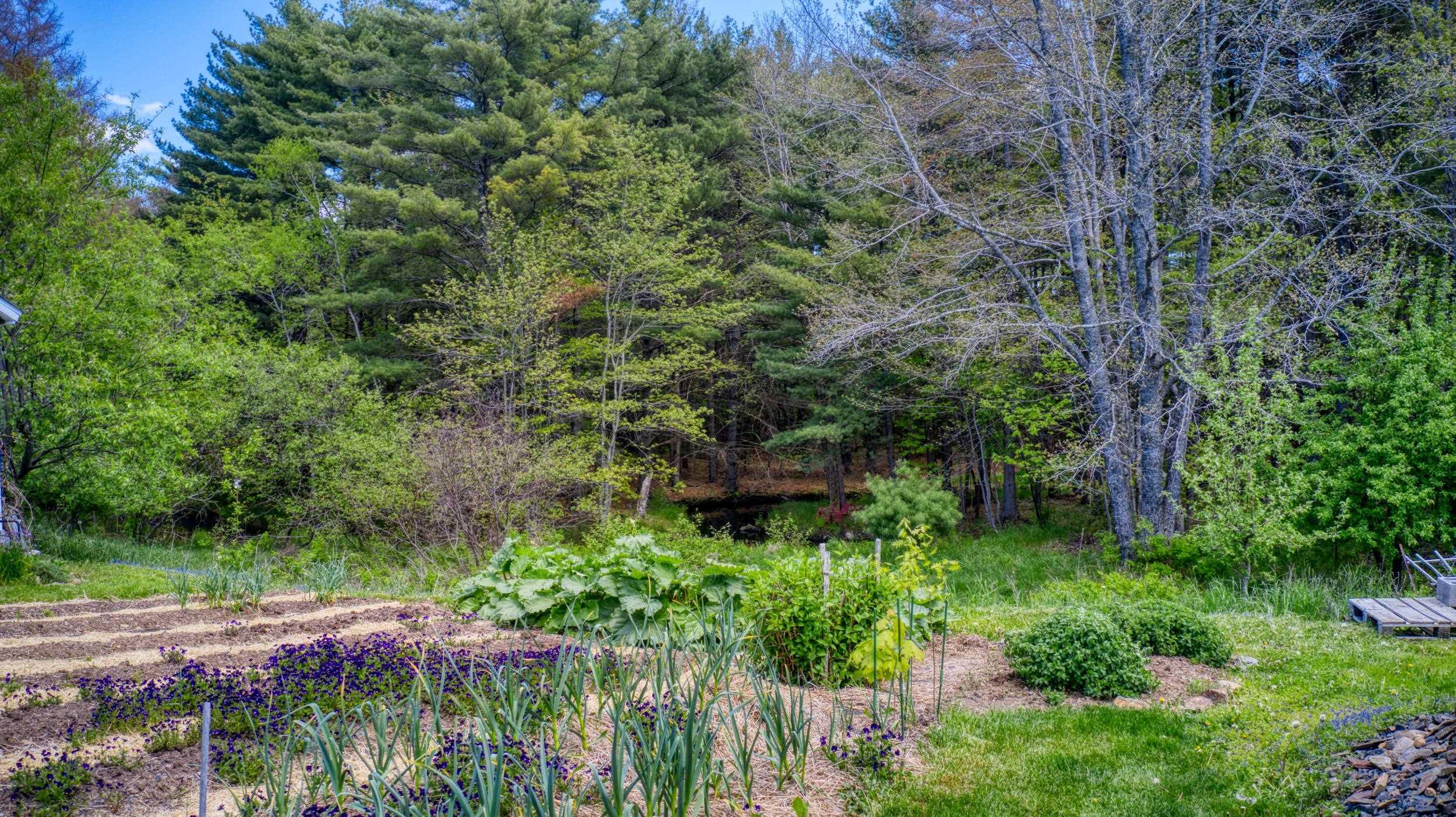 $449,900.00: 824 Pine Grove Road, Pine Grove
