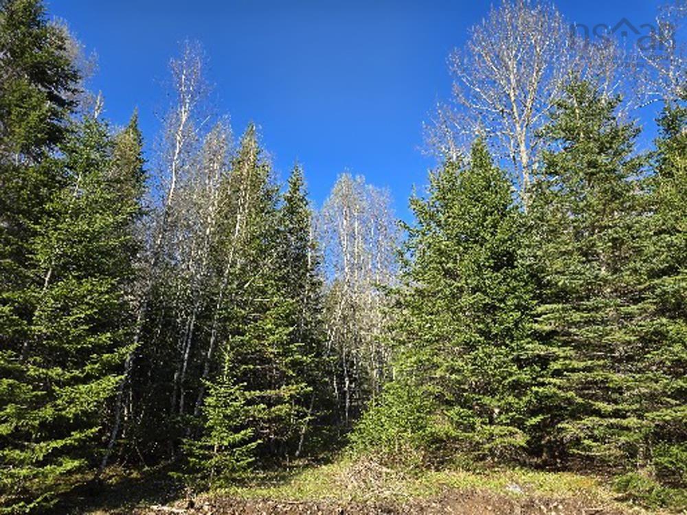 $39,000.00: Lot 23-3 Chesley Road, Barss Corner