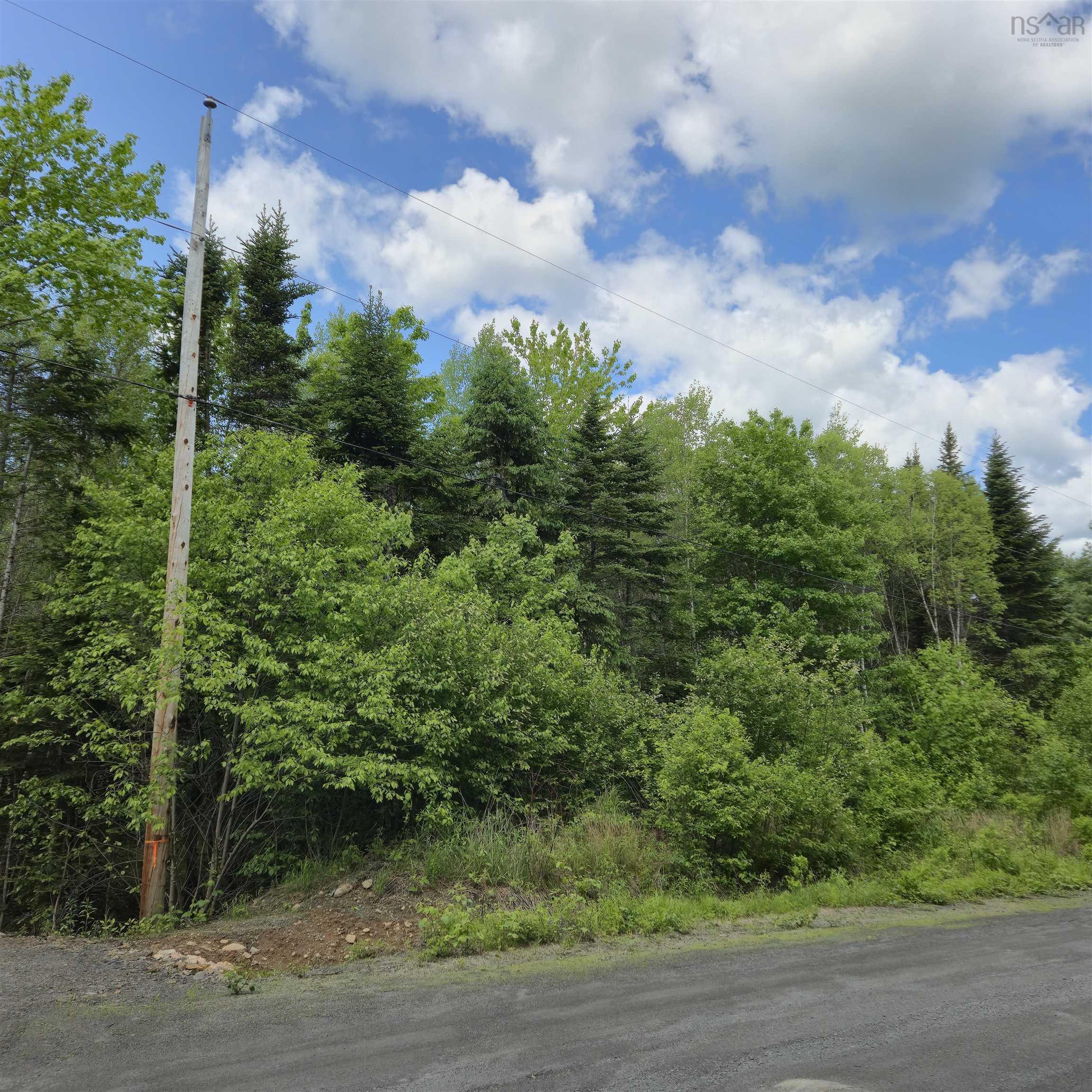 $39,000.00: Lot 23-3 Chesley Road, Barss Corner