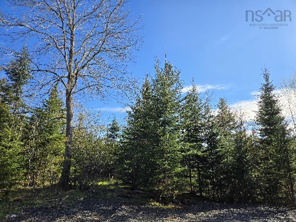 $39,000.00: Lot 23-3 Chesley Road, Barss Corner