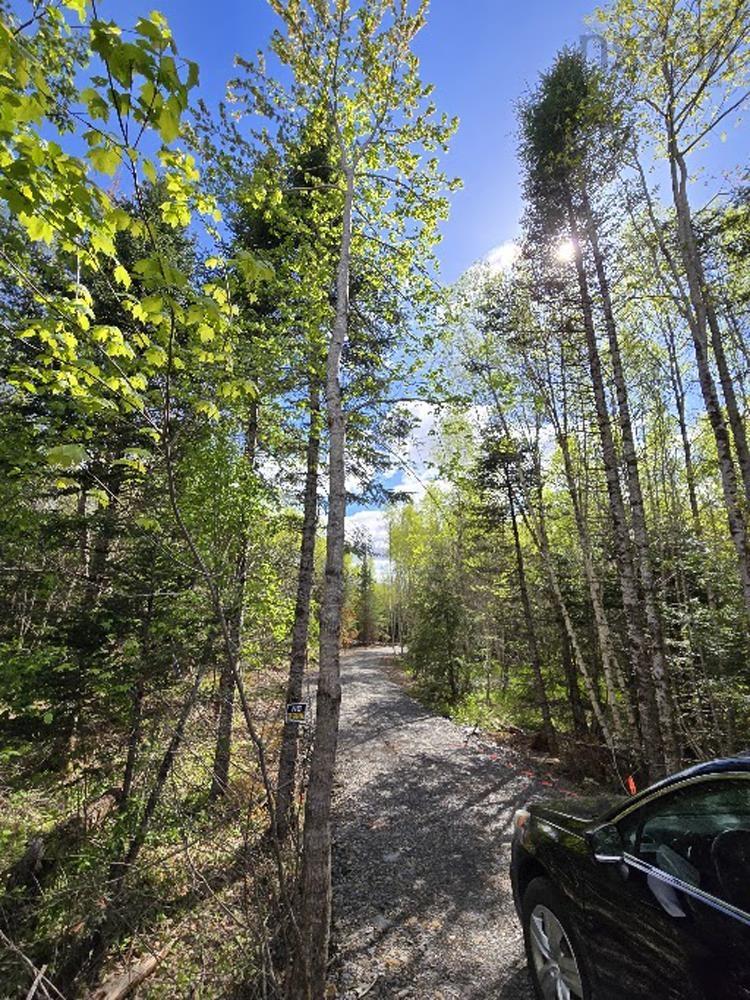 $39,000.00: Lot 23-3 Chesley Road, Barss Corner