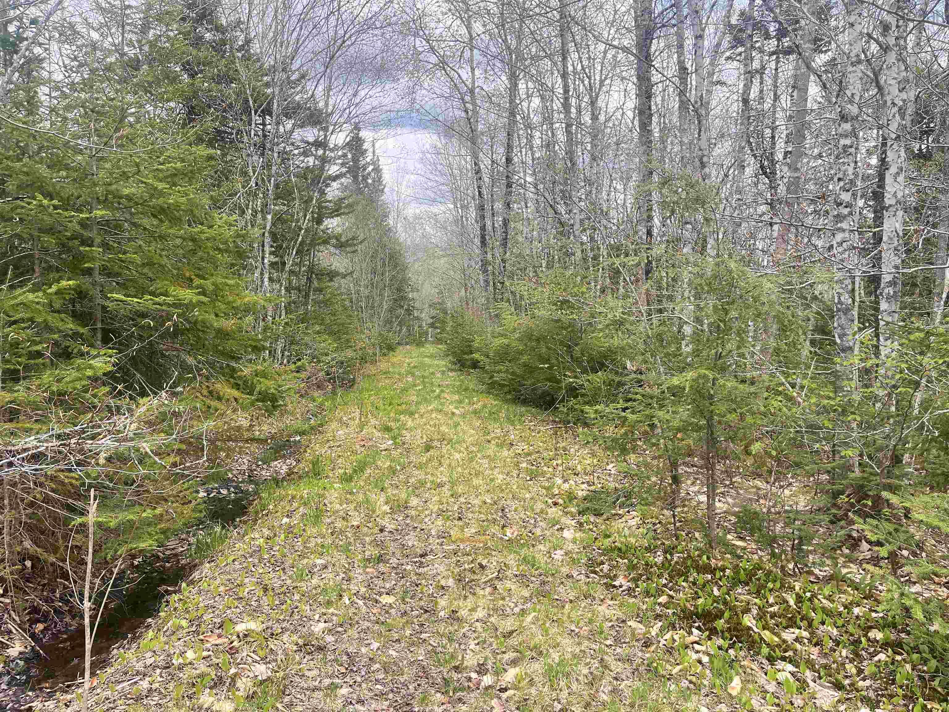 $70,000.00: Lot VB1 Camp Lake Drive, New Ross