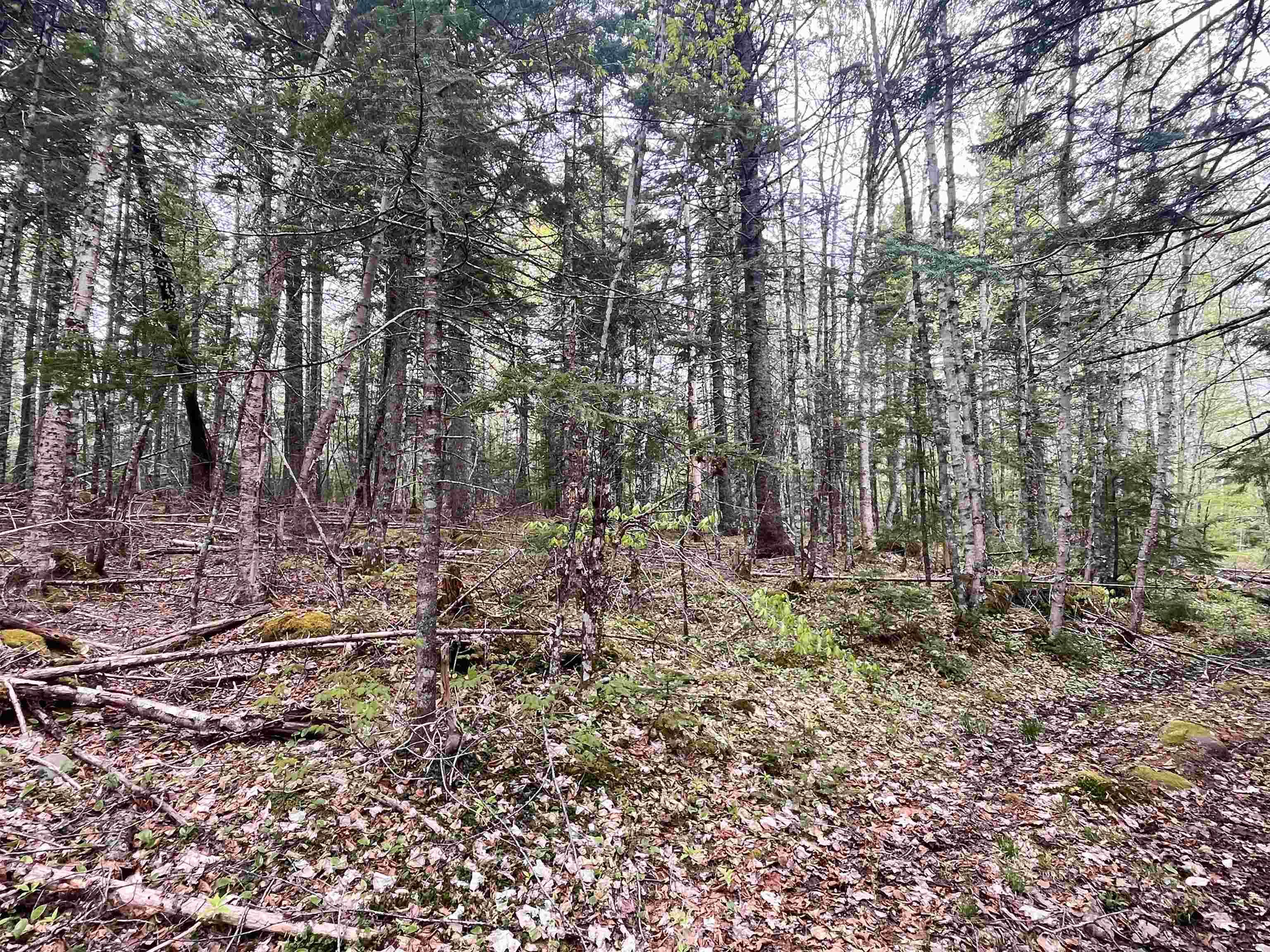 $70,000.00: Lot VB1 Camp Lake Drive, New Ross