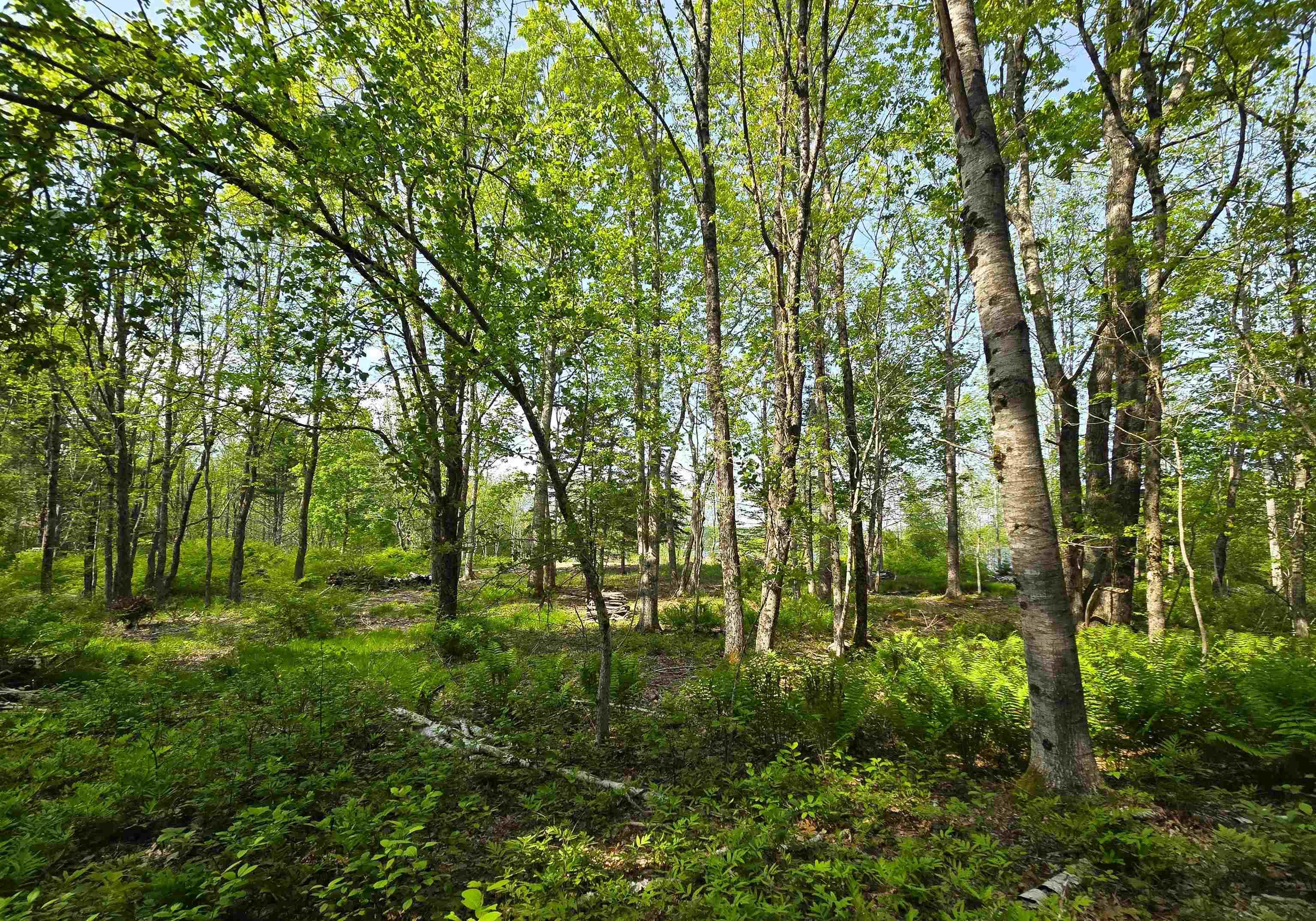 $1,150,000.00: Lot 3 Highway, Maders Cove