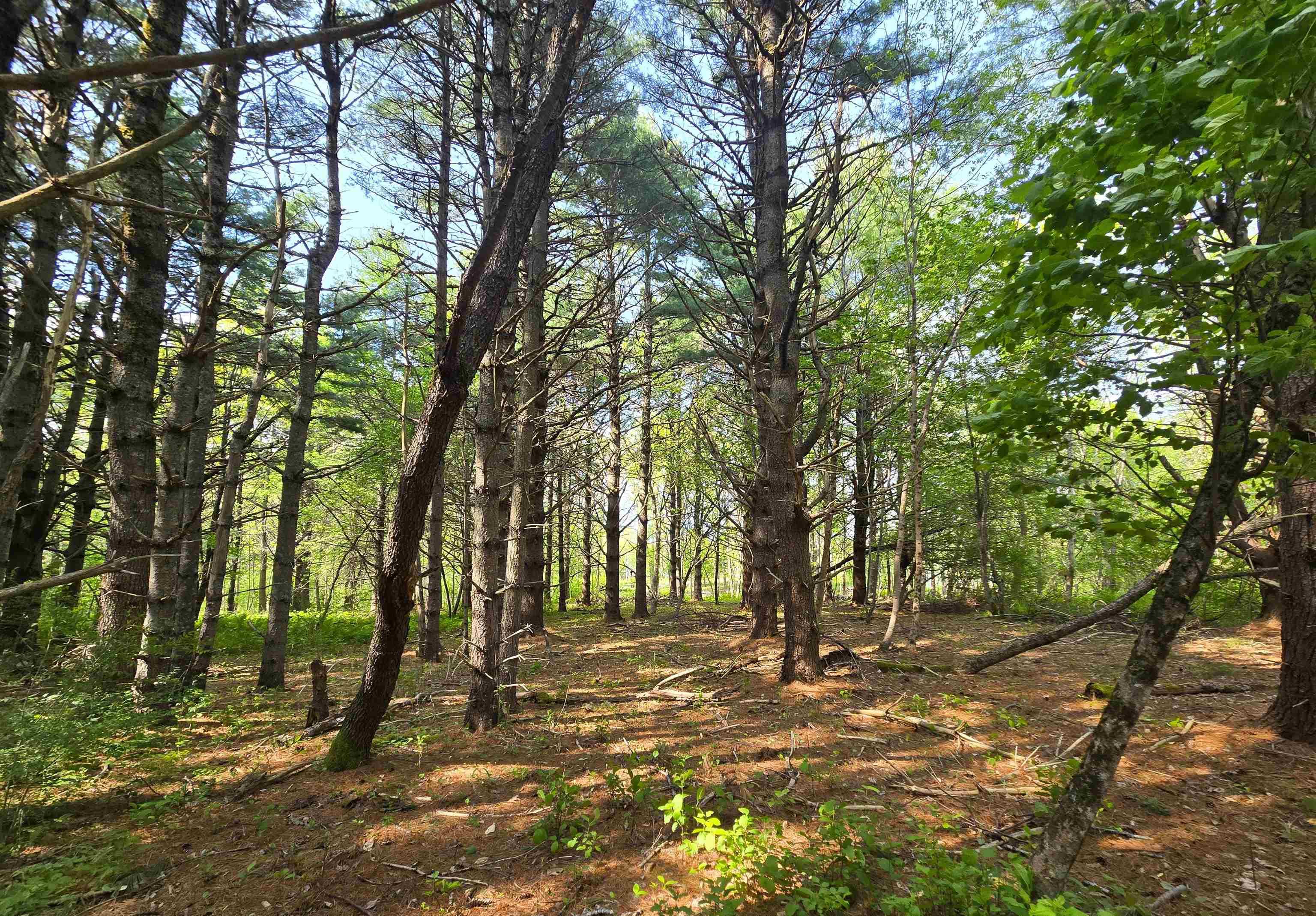 $1,150,000.00: Lot 3 Highway, Maders Cove
