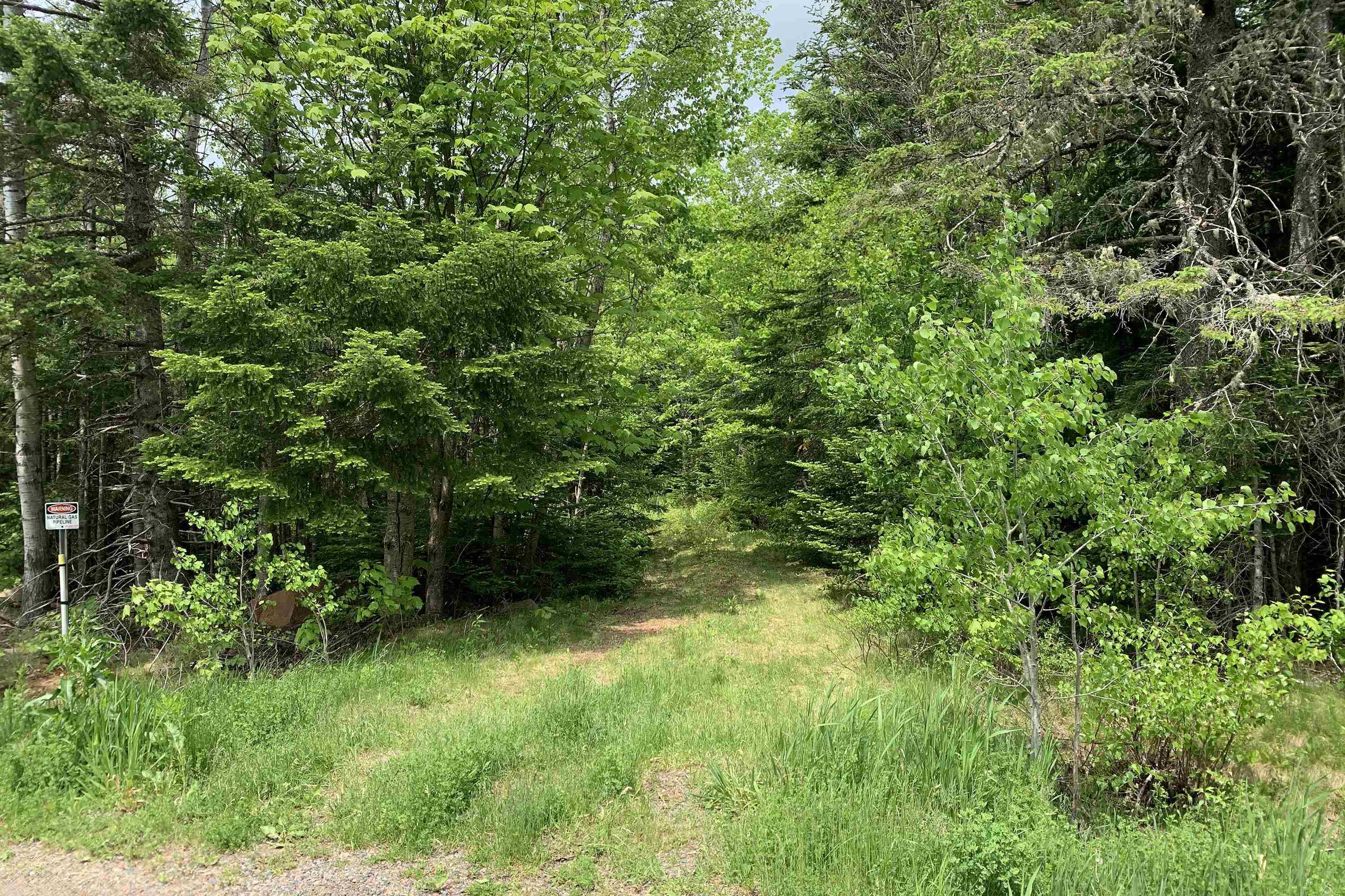 $38,500.00: Lot 6 Highway 321, Roslin