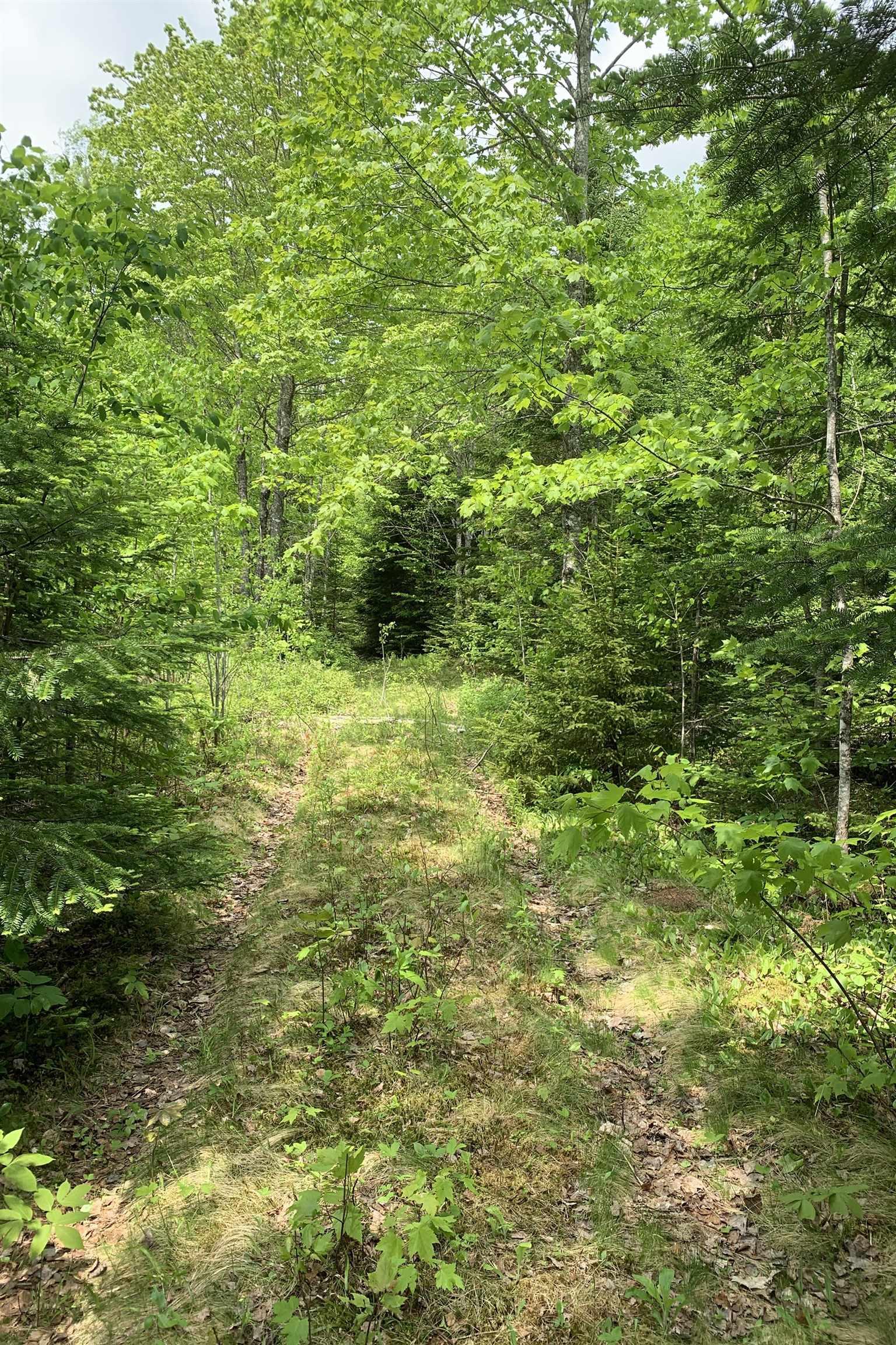 $38,500.00: Lot 6 Highway 321, Roslin
