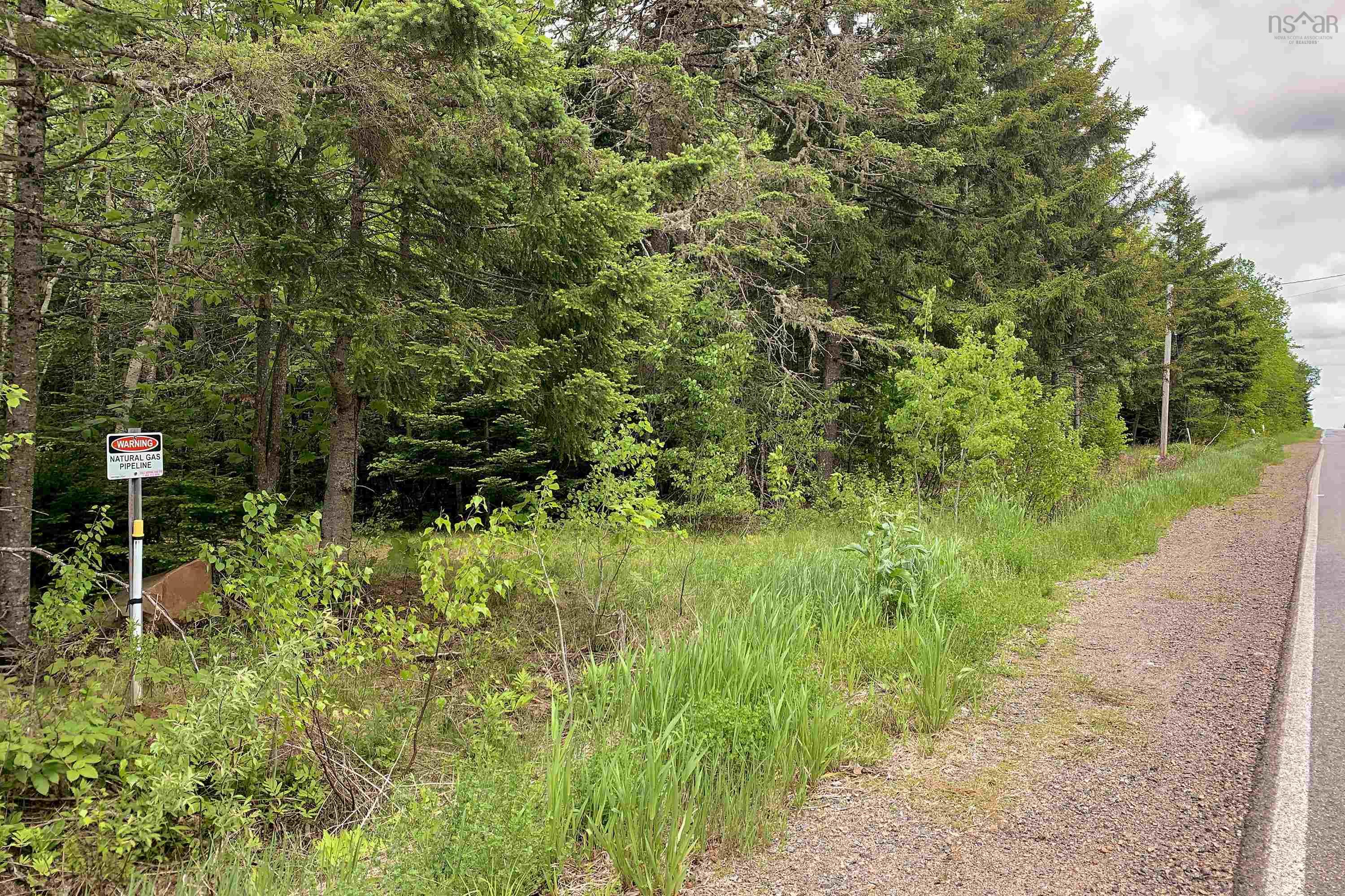 $38,500.00: Lot 6 Highway 321, Roslin