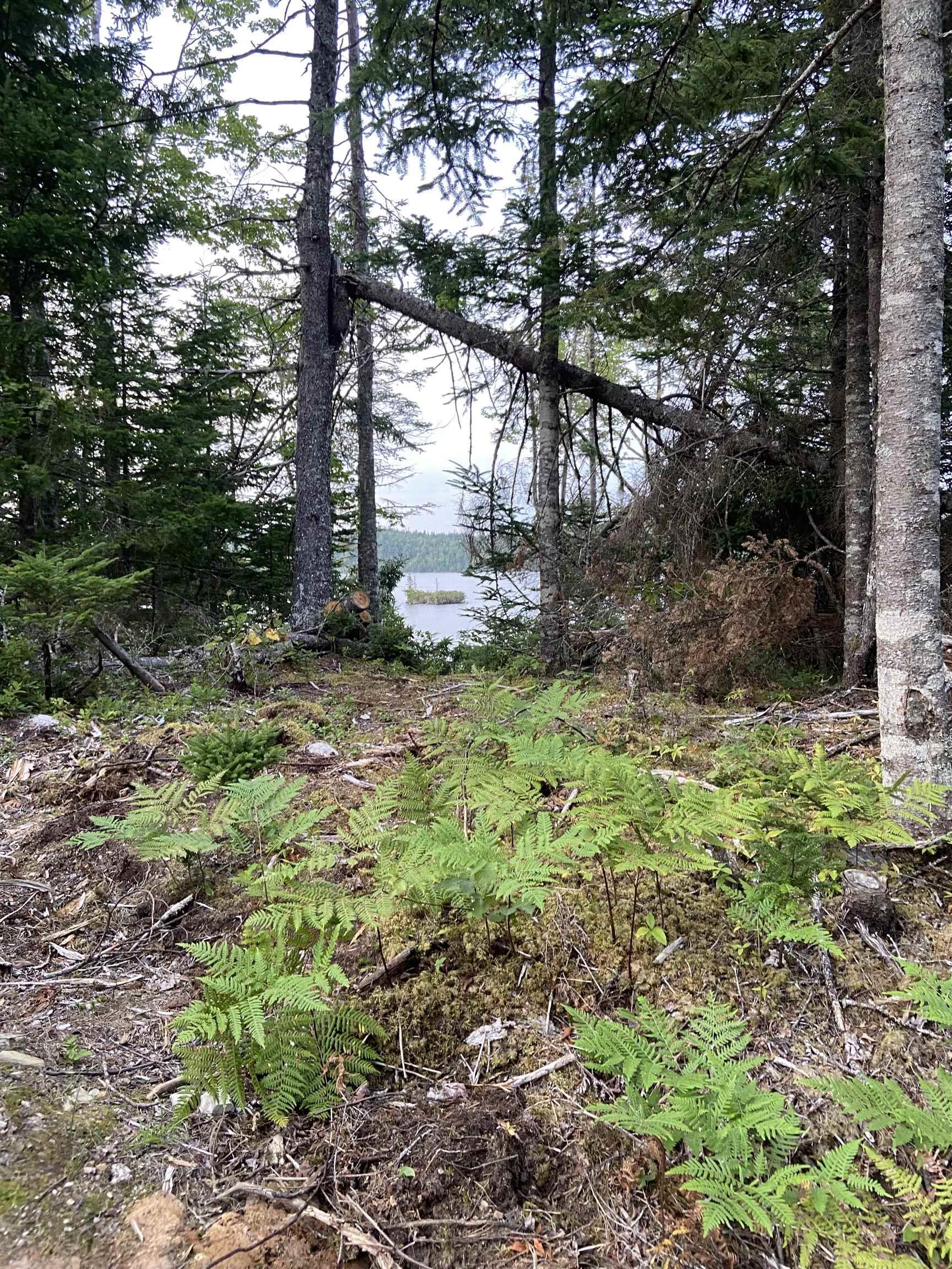 Lot 8c Longbridge Lake, Gaetz Brook, NS (MLS 202513396)
