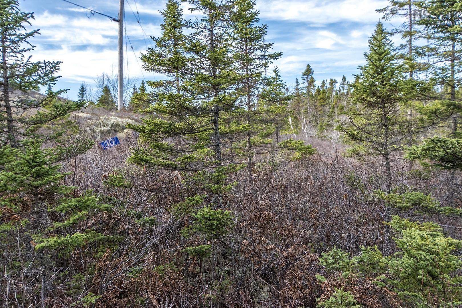 27 Big Lake Drive, Big Lake, NS (MLS 202513576)